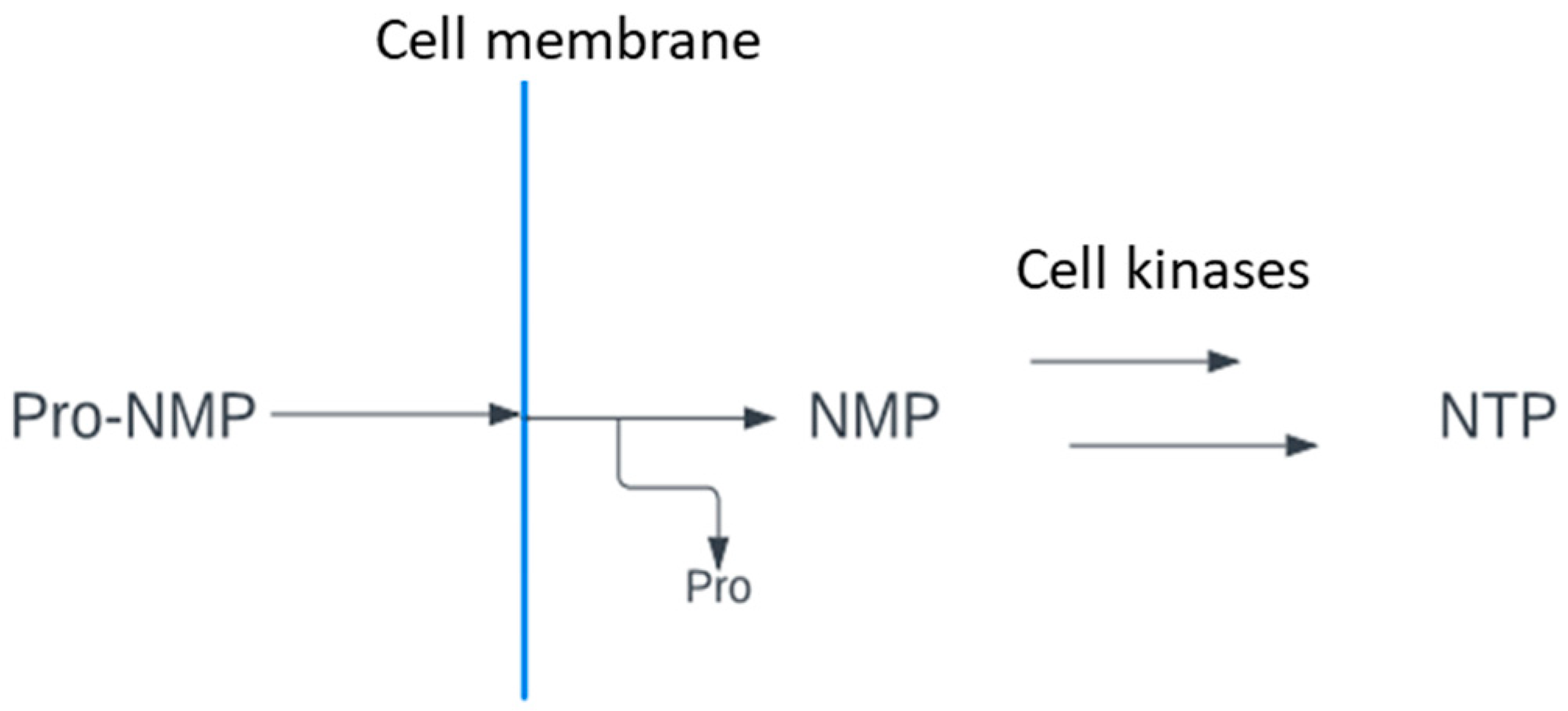 Molecules 29 05787 g001