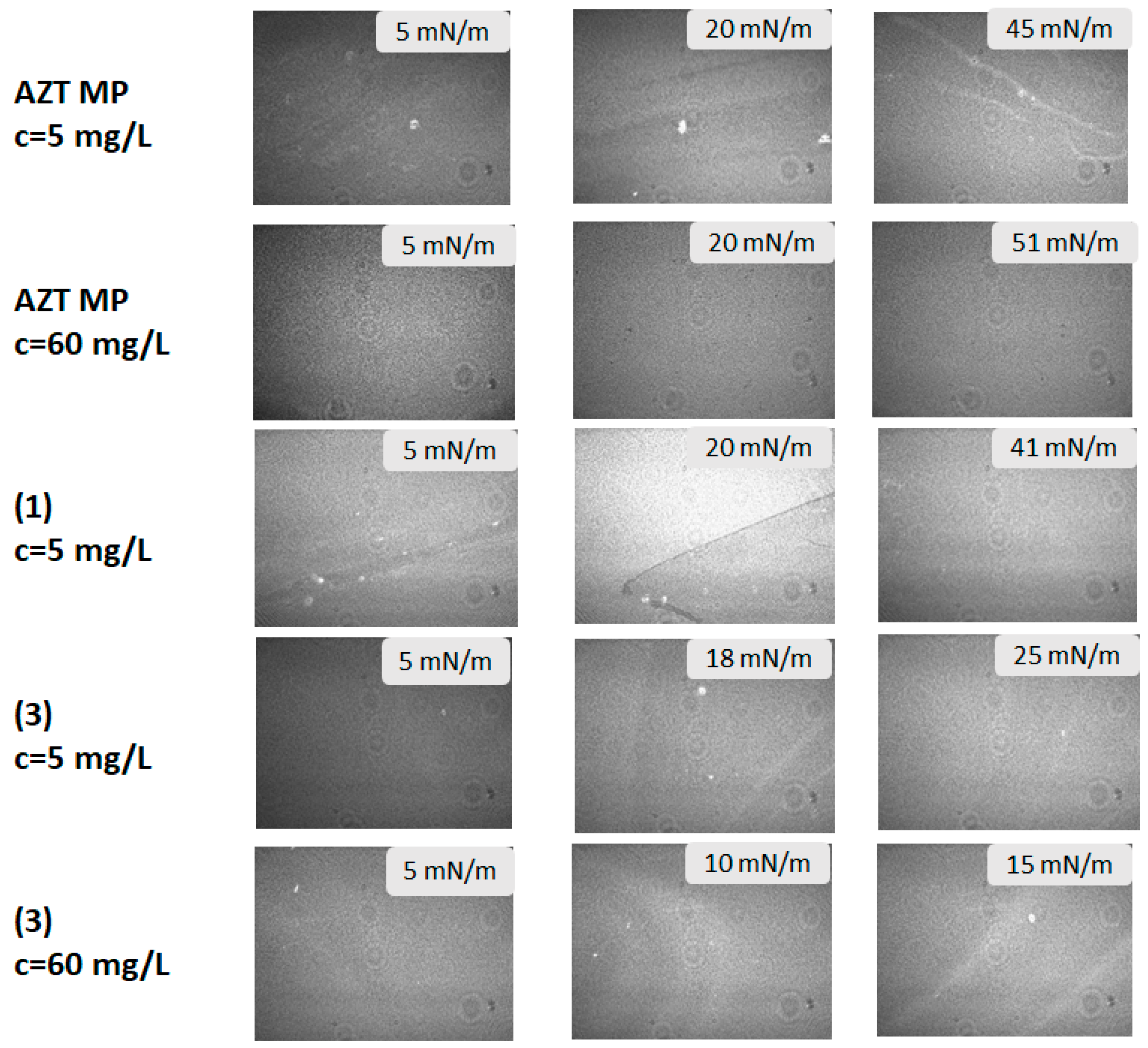 Molecules 29 05787 g005