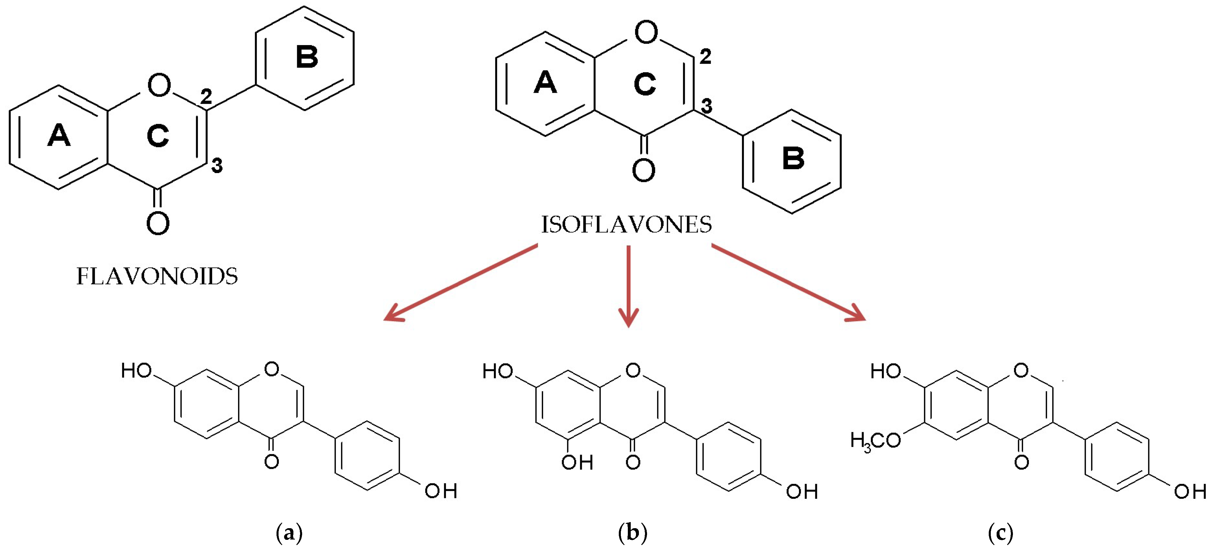 Molecules 29 05790 g001