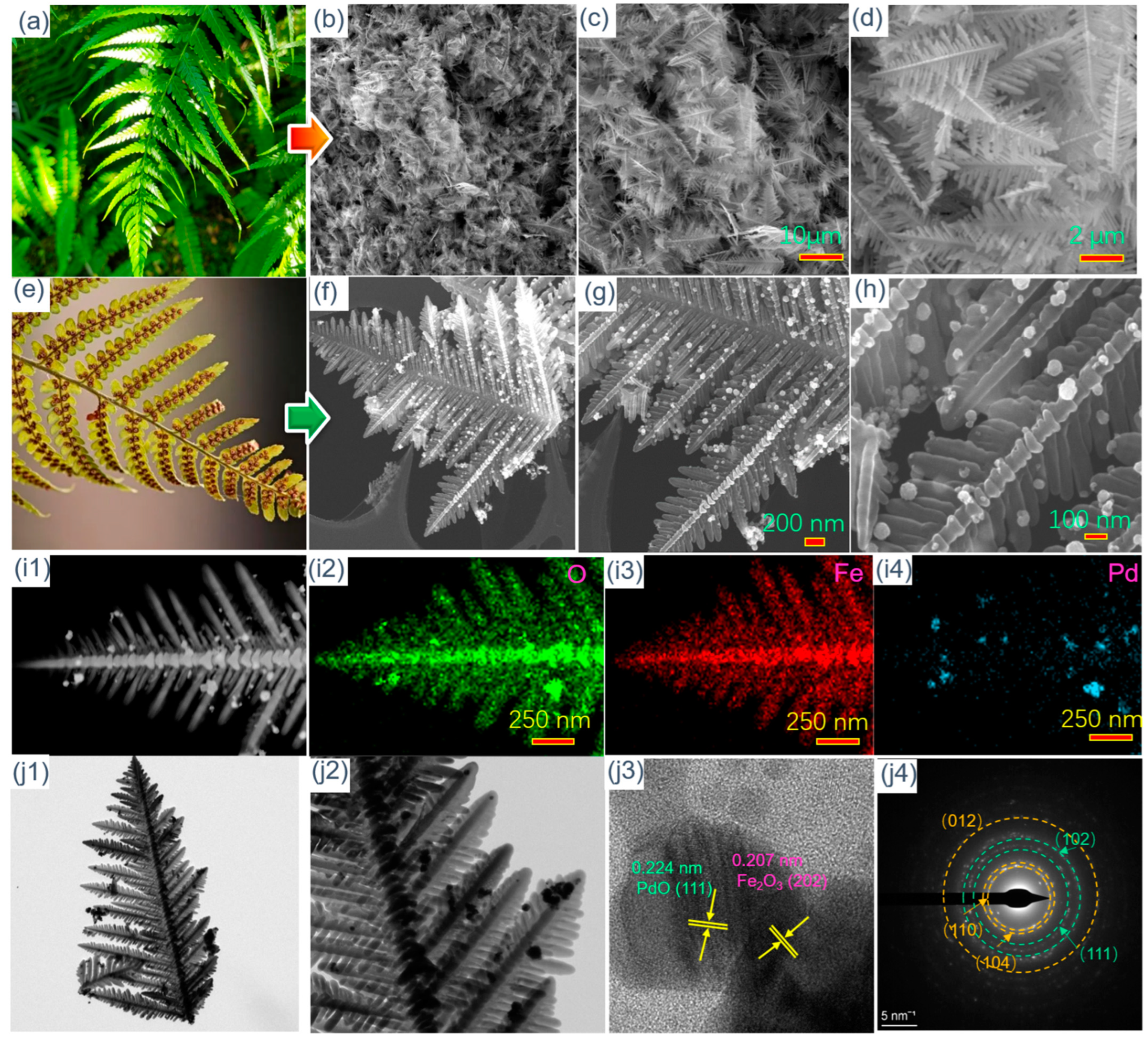 Molecules 29 05791 g002
