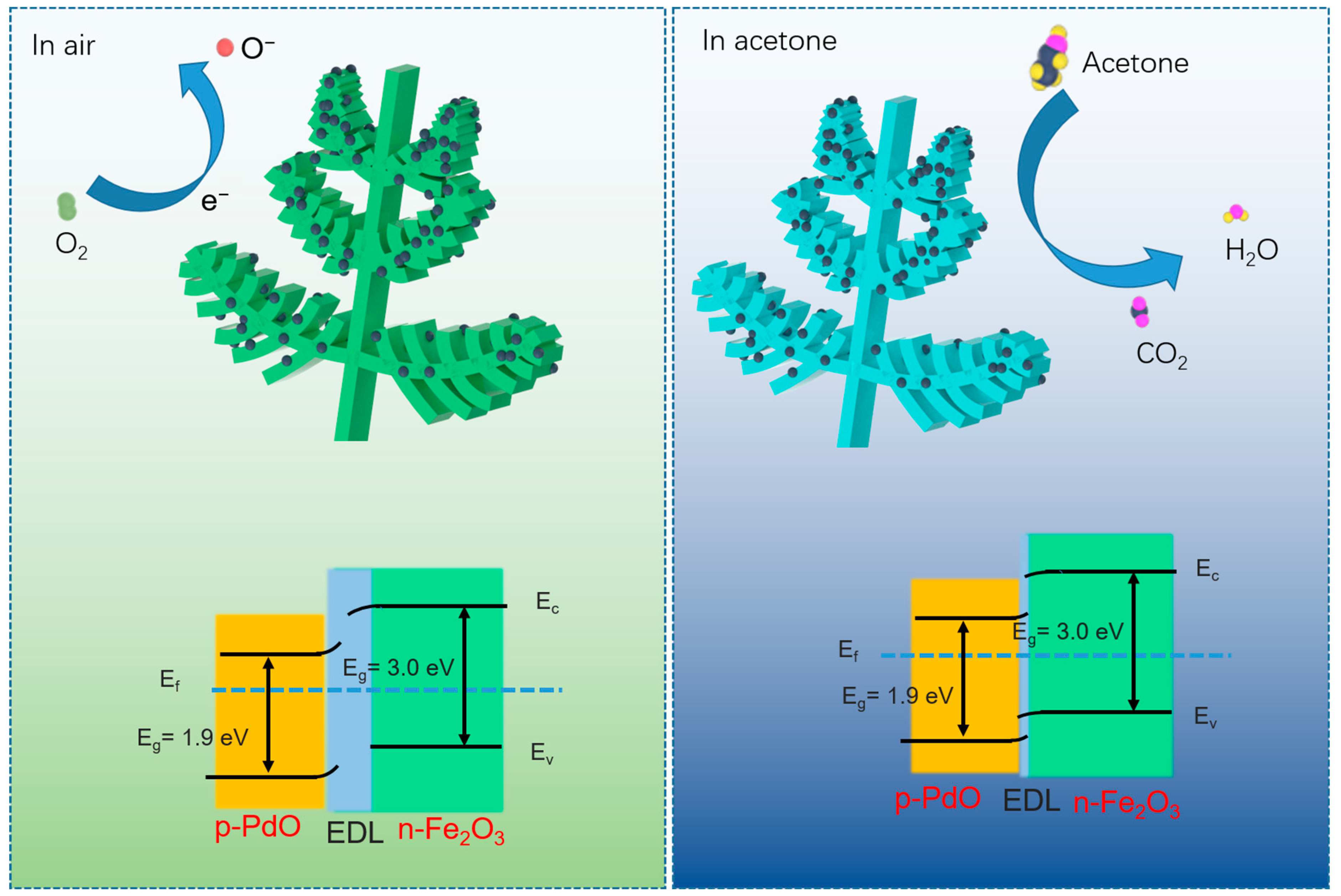 Molecules 29 05791 g005