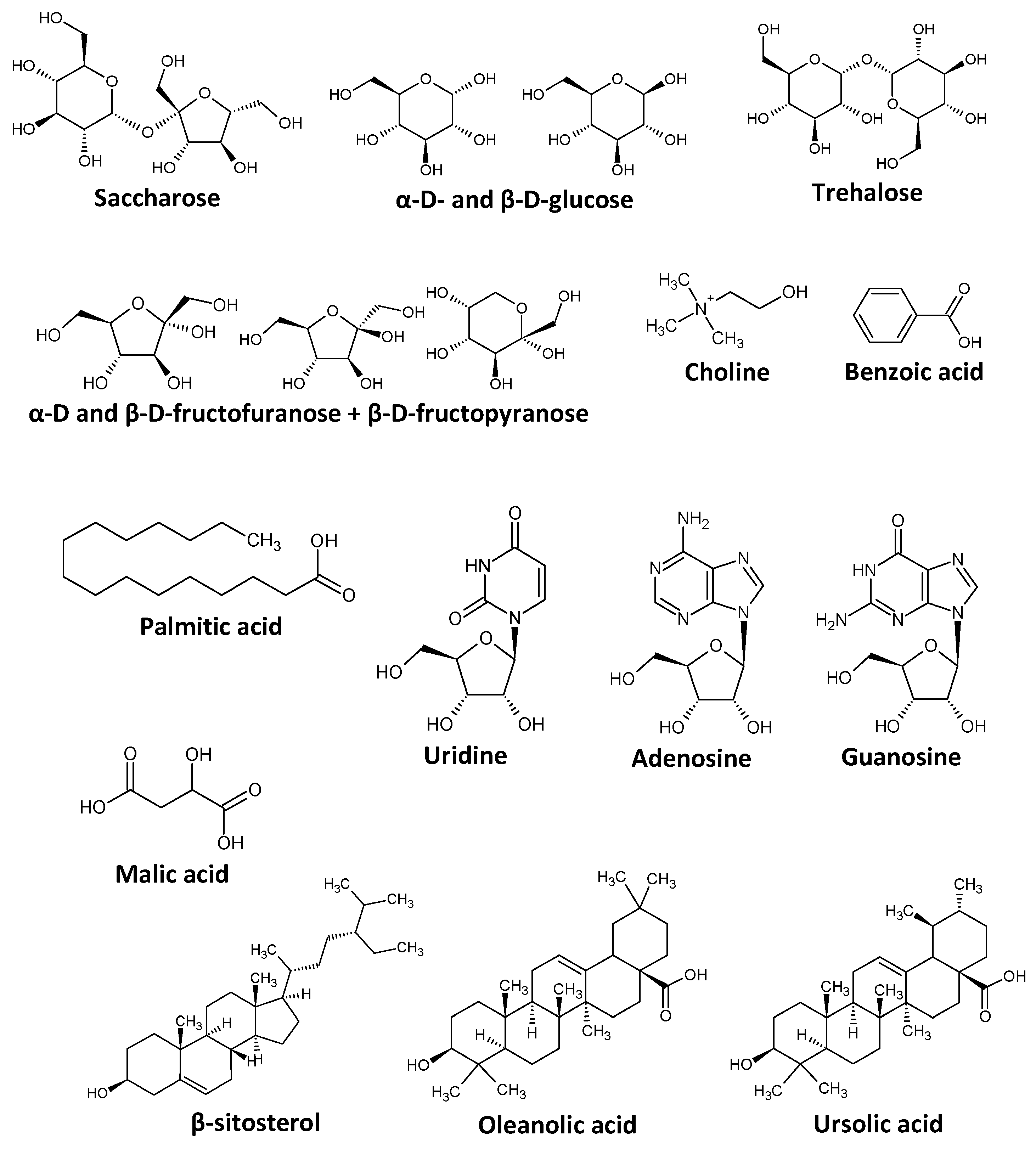 Molecules 29 05792 g002
