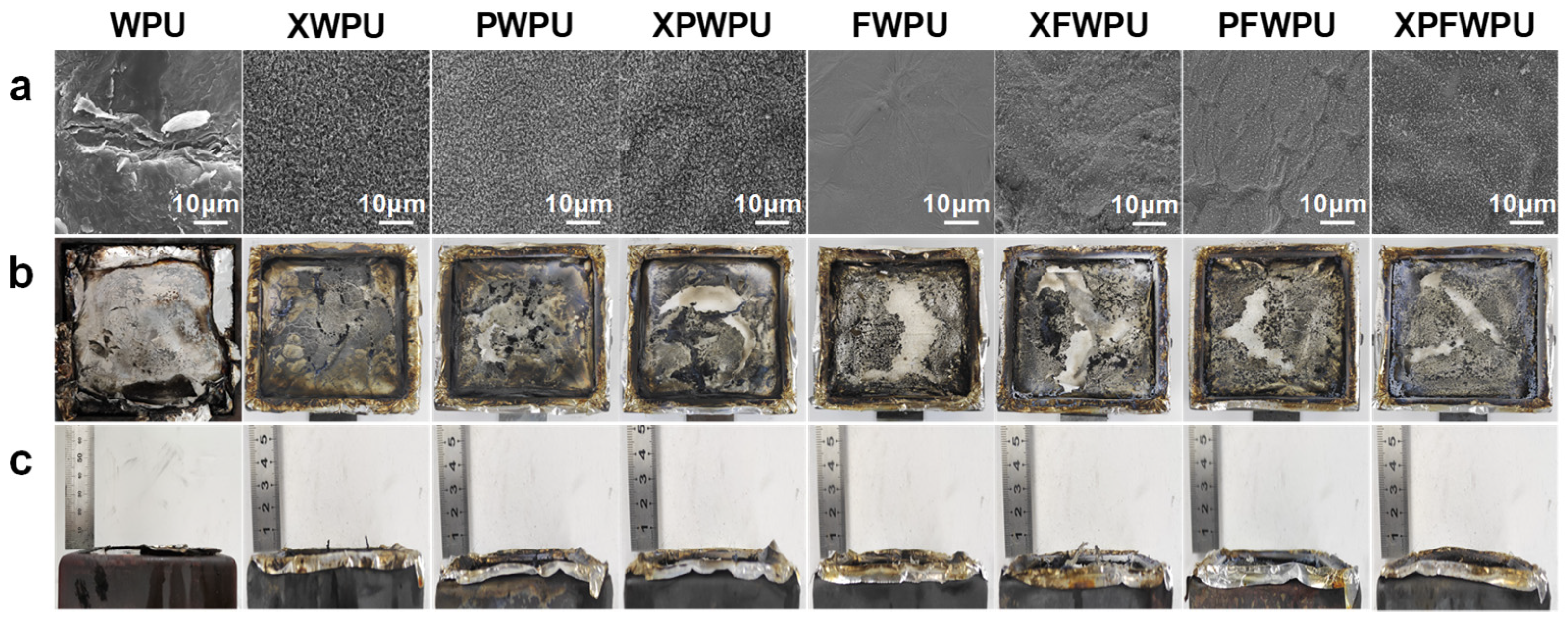 Molecules 29 05799 g006