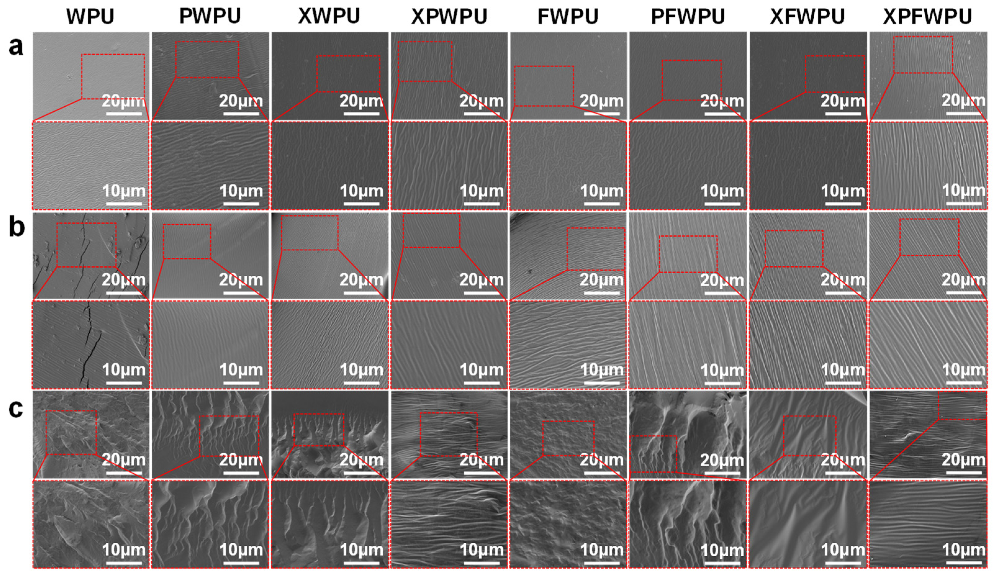 Molecules 29 05799 g009