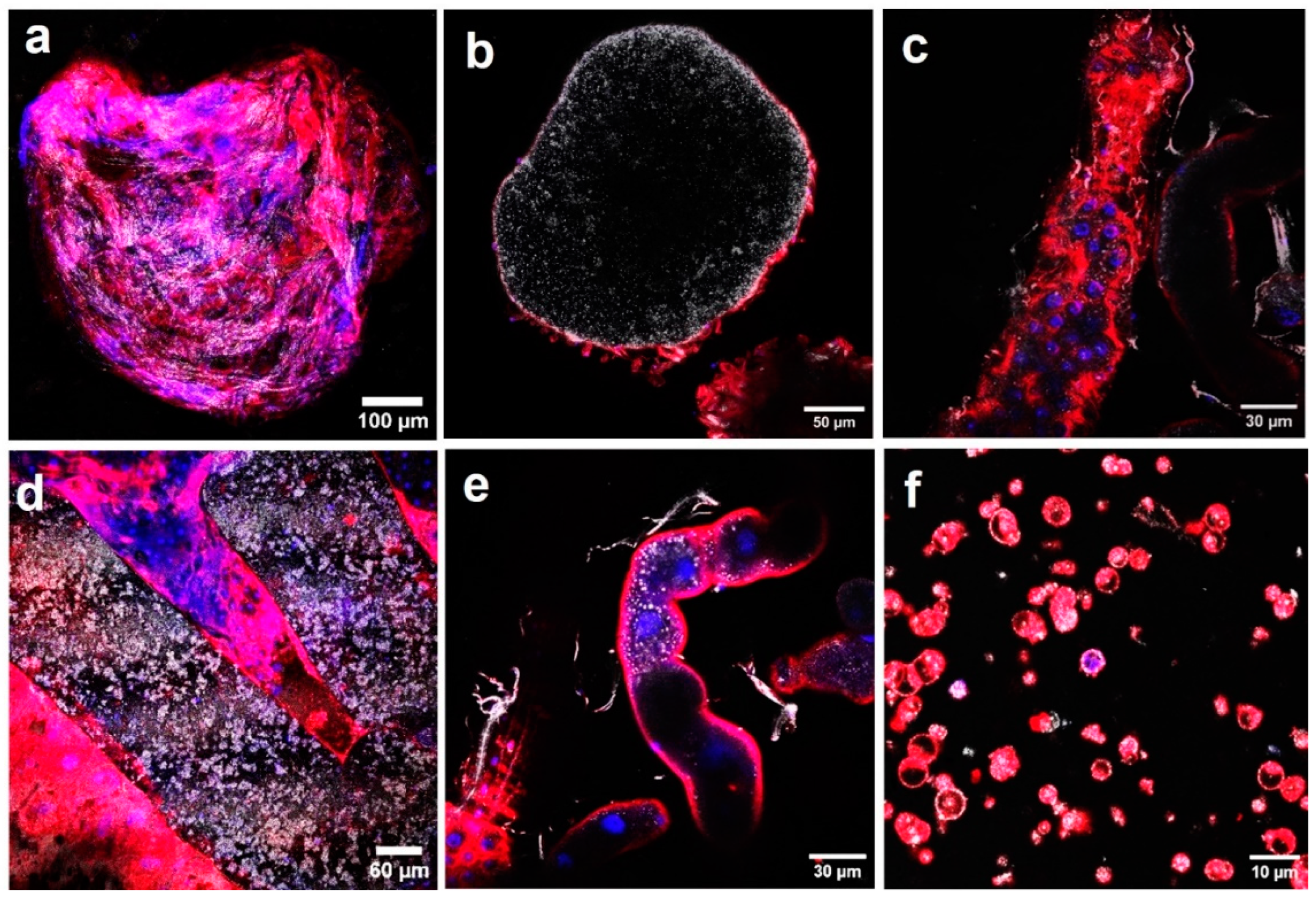 Molecules 29 05802 g003