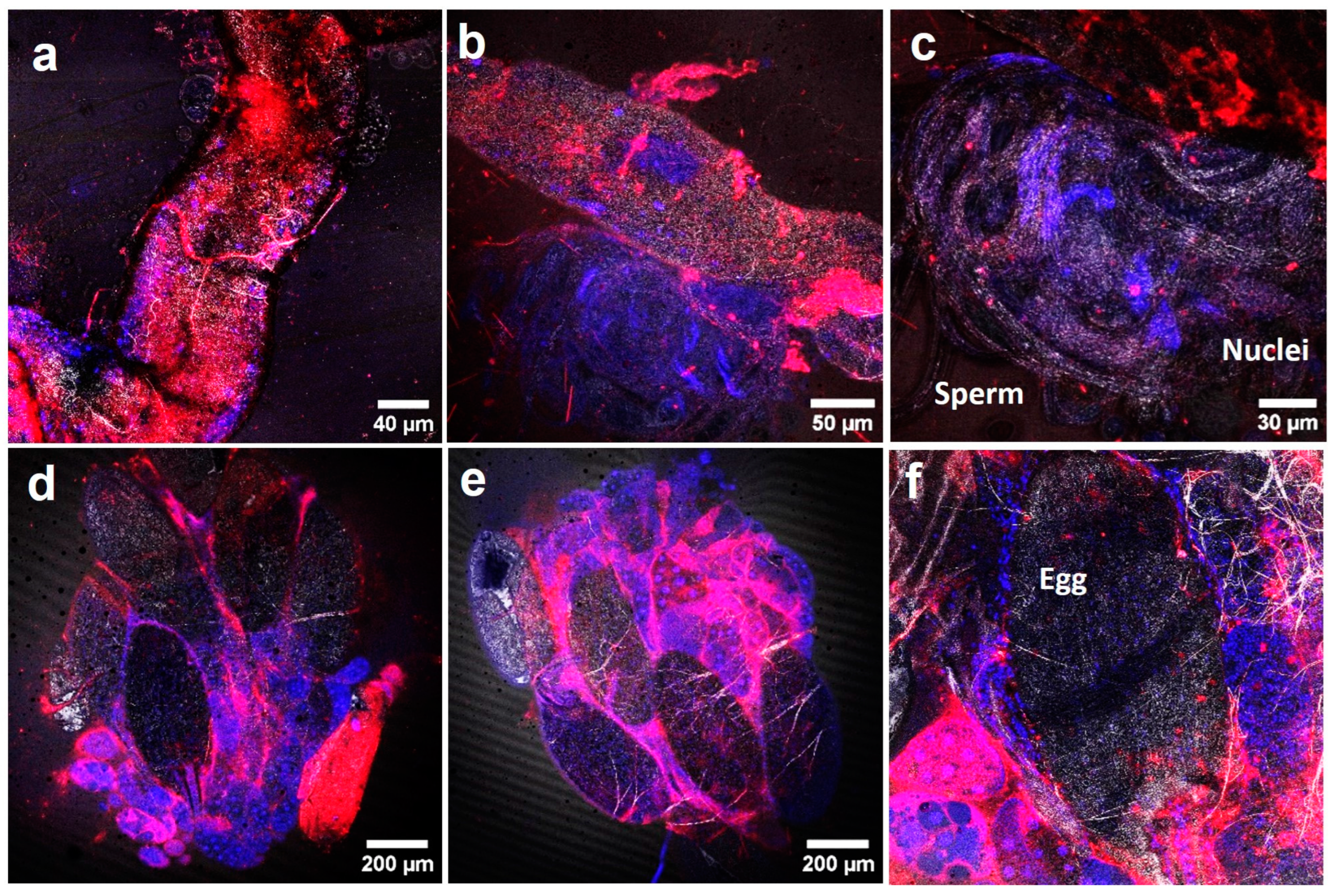 Molecules 29 05802 g005