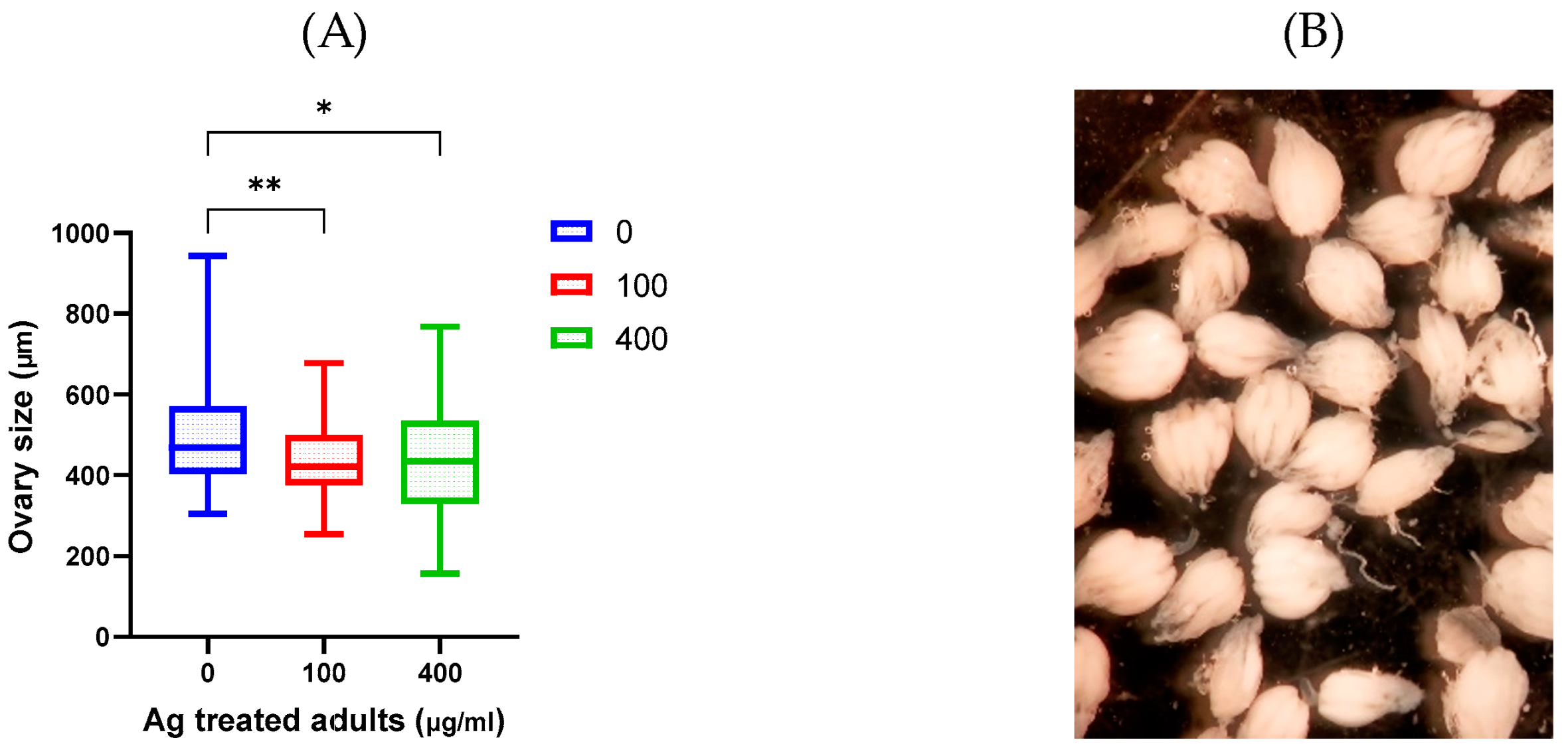 Molecules 29 05802 g009