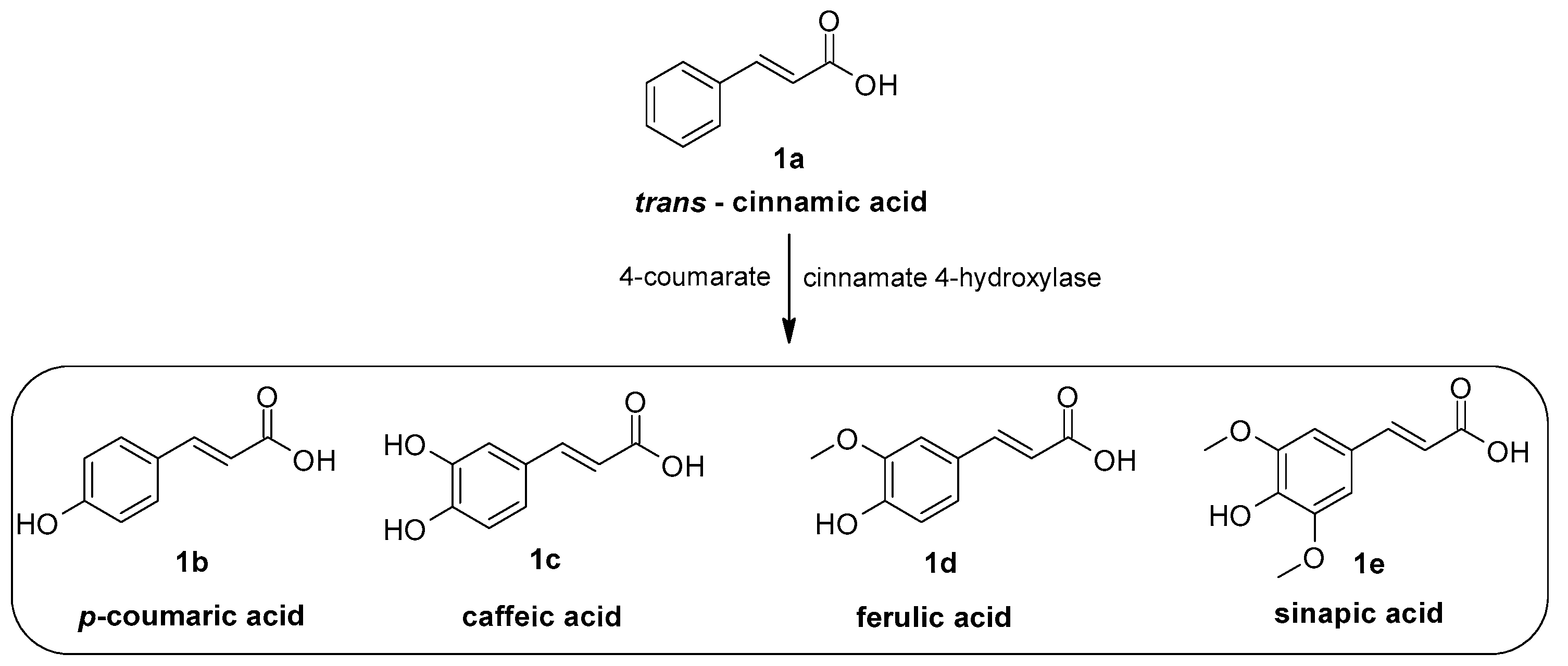 Molecules 29 05806 g001