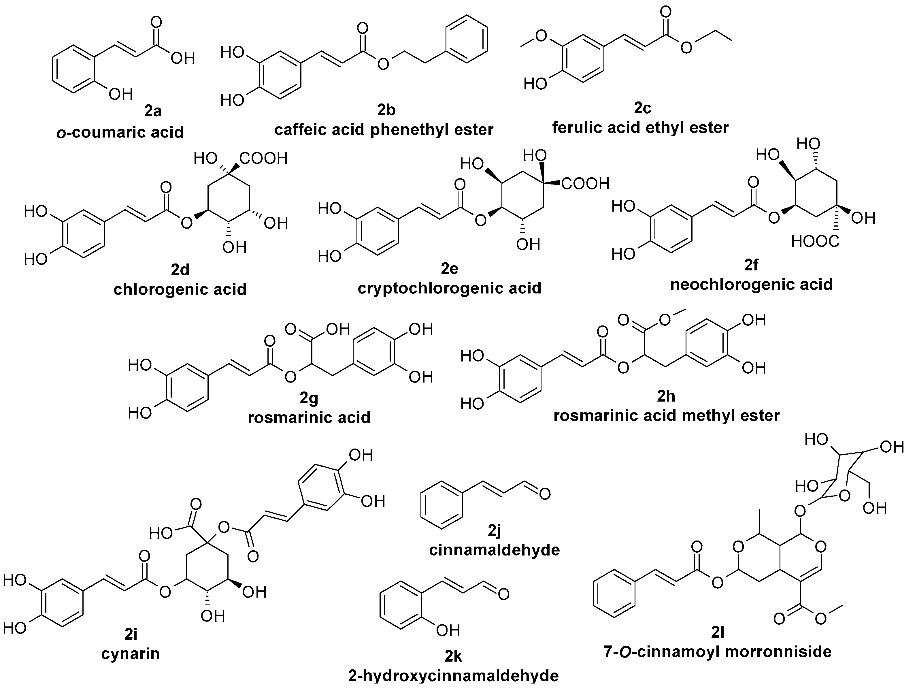 Molecules 29 05806 g002