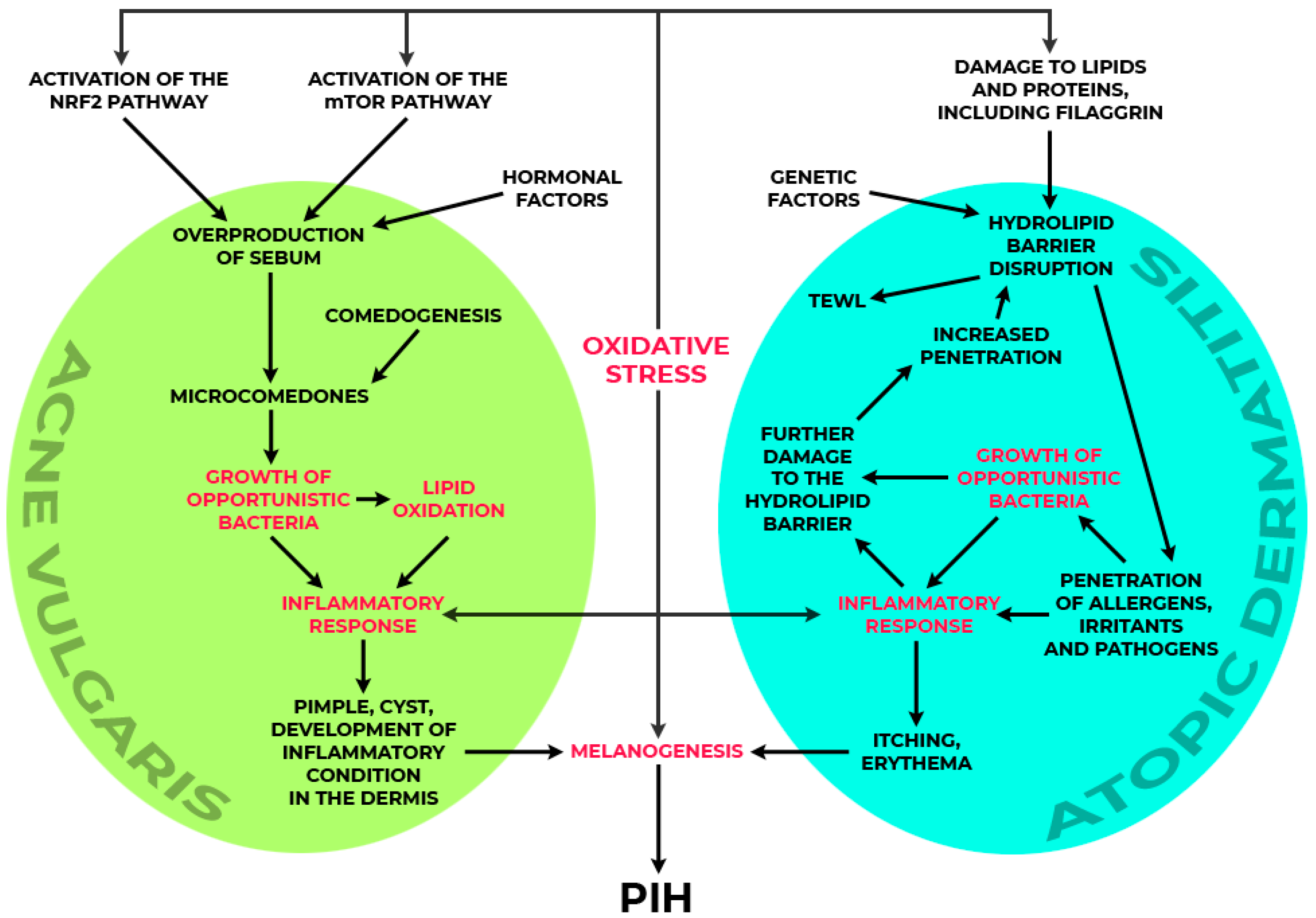 Molecules 29 05806 g003