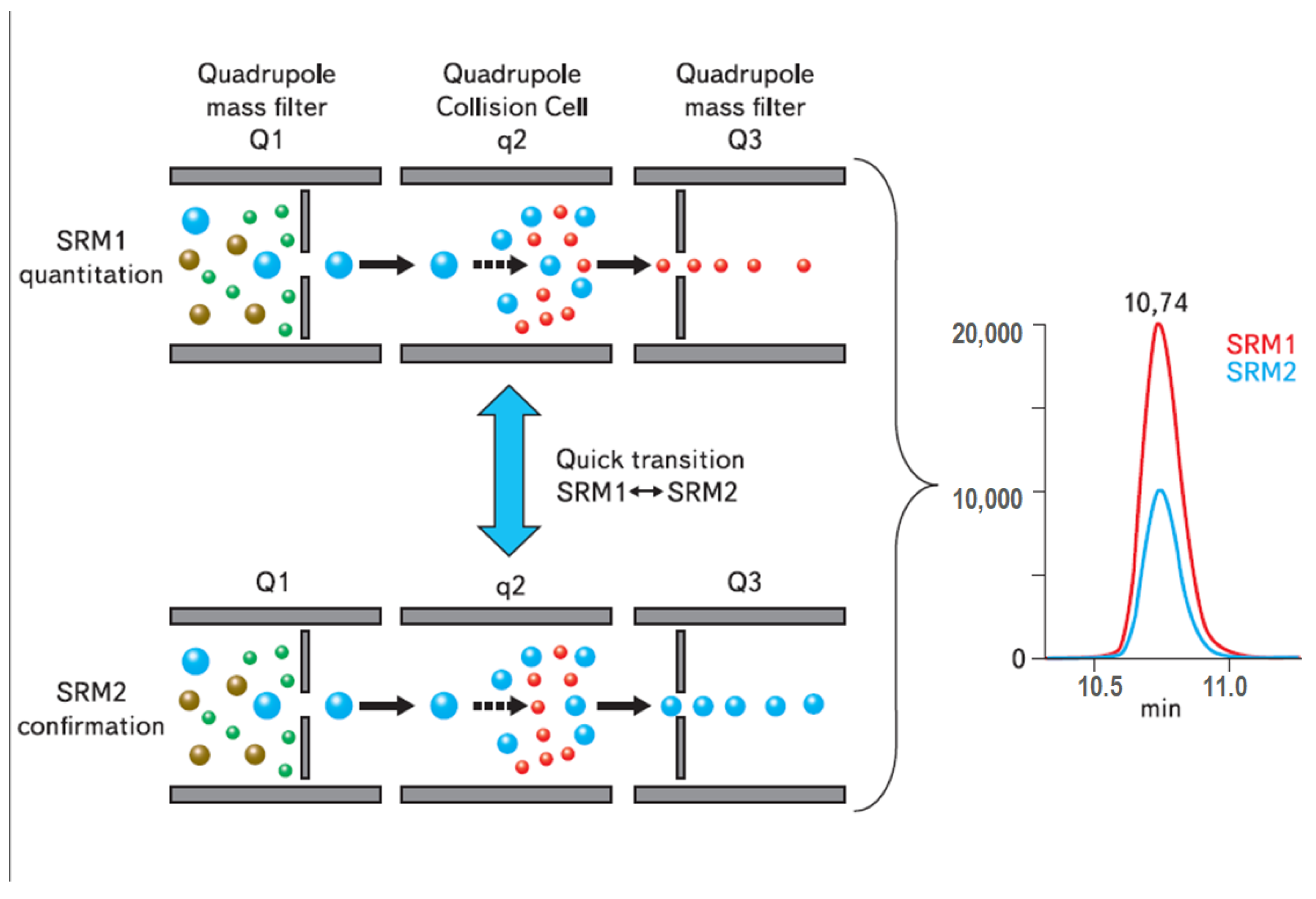 Molecules 29 05808 g003 Molecules 29 05808 g003