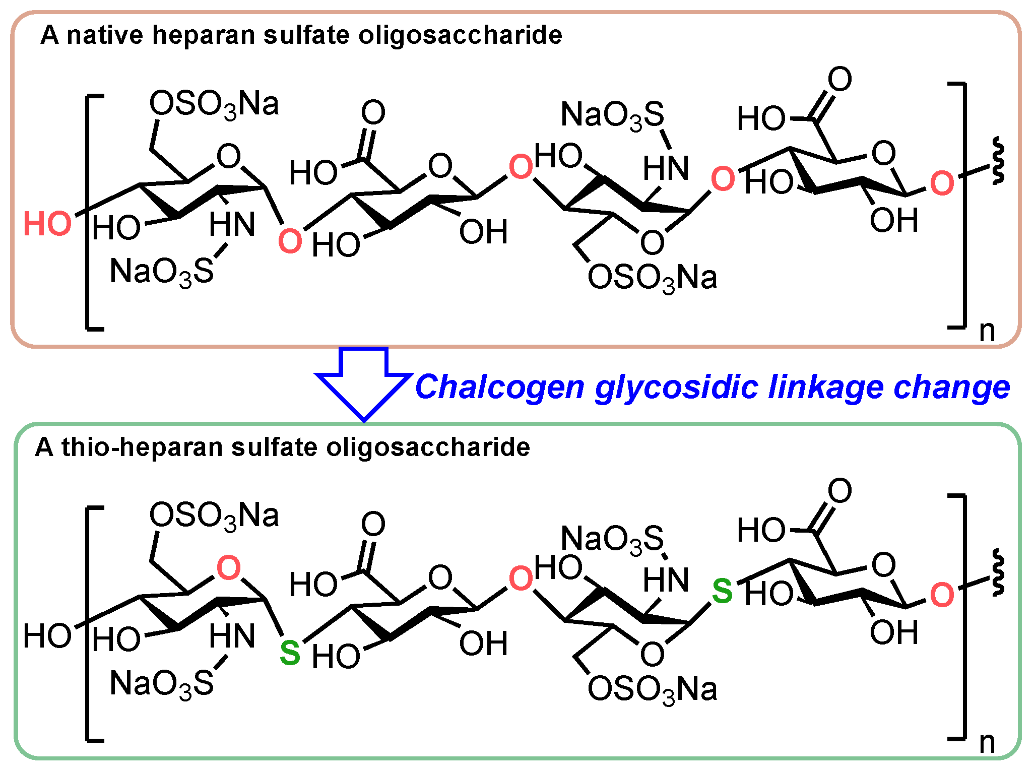 Molecules 29 05809 g001