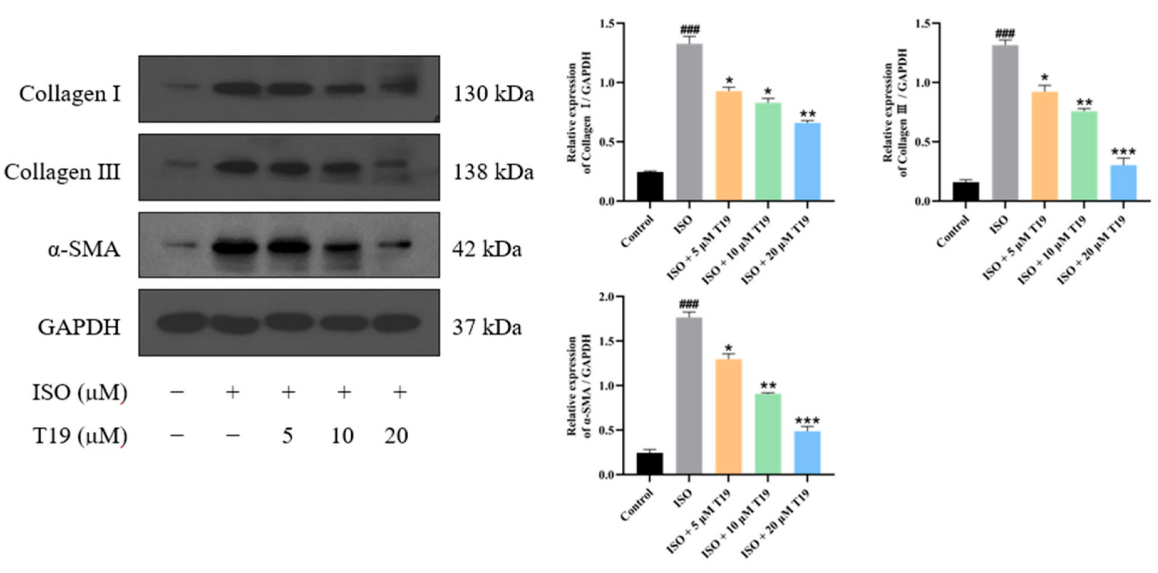 Molecules 29 05813 g009