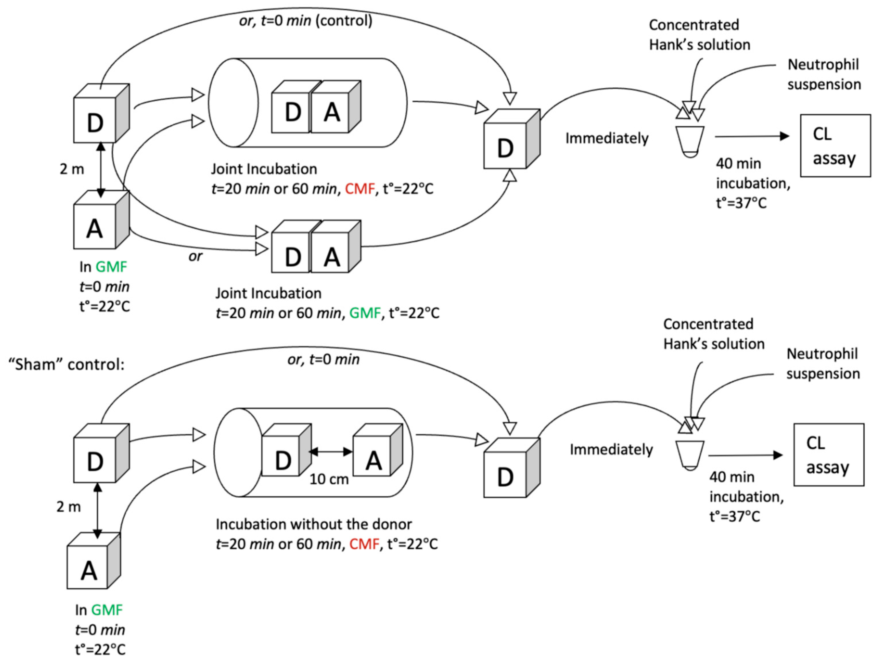 Molecules 29 05814 g008