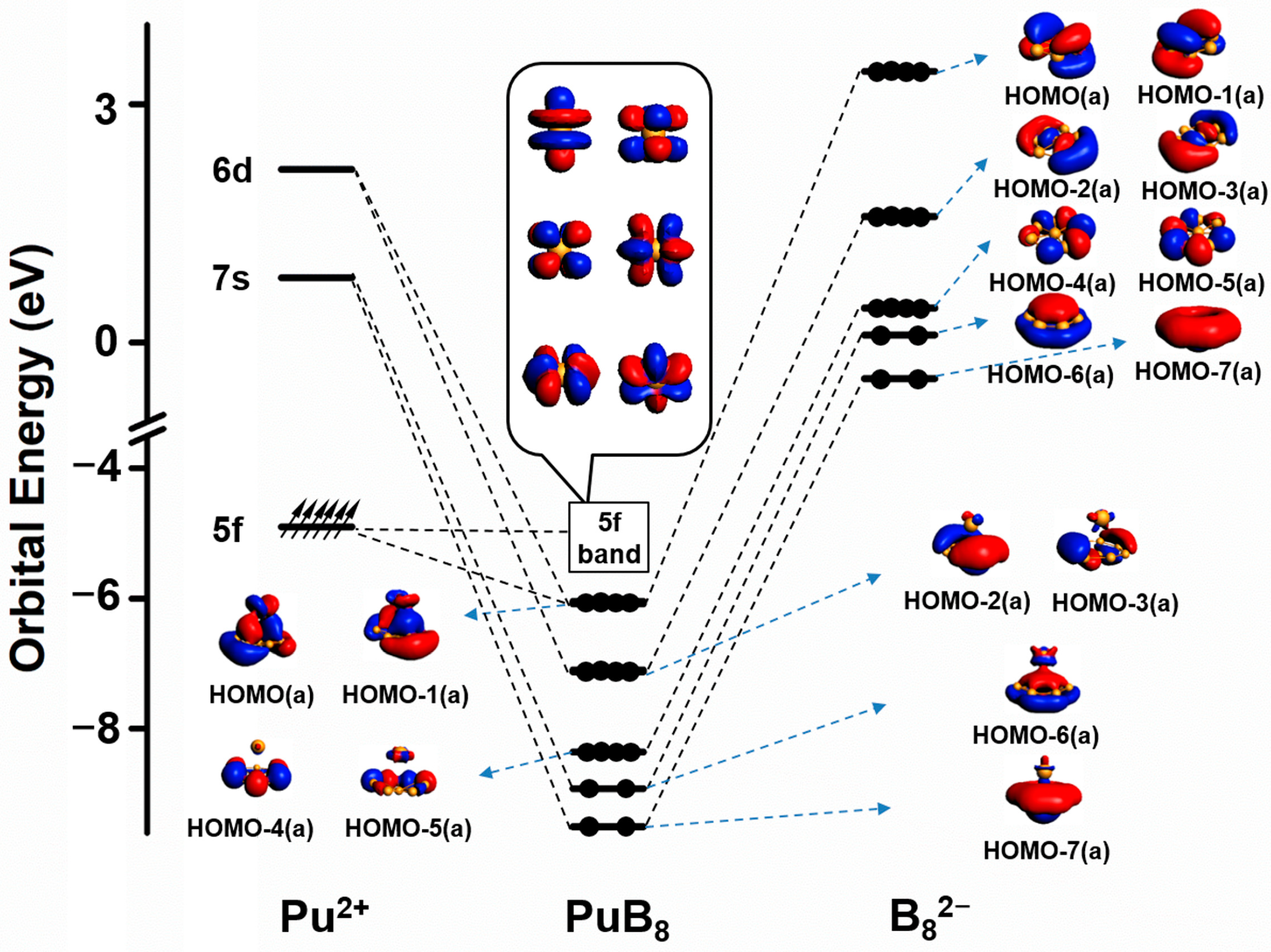 Molecules 29 05815 g003