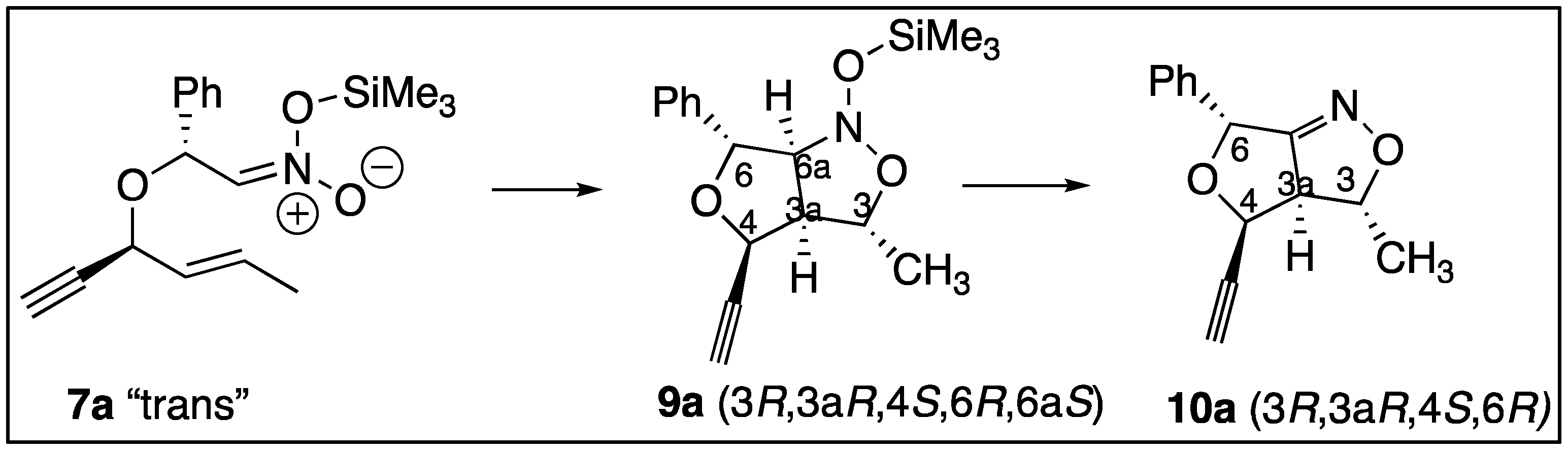 Molecules 29 05816 g003