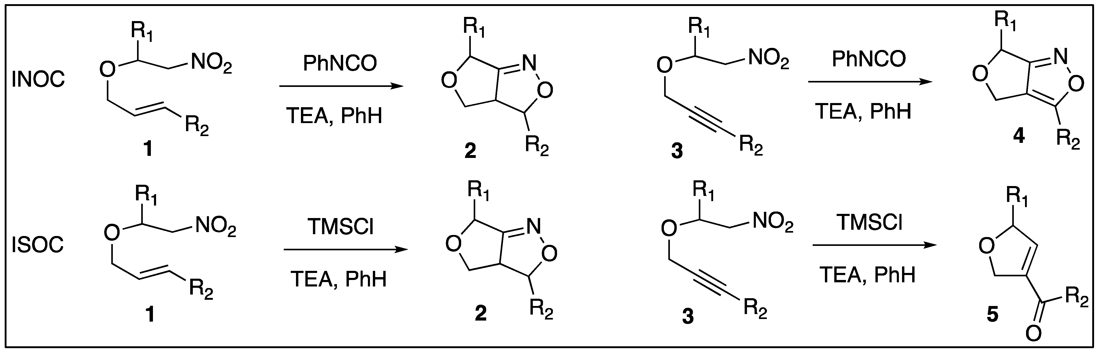 Molecules 29 05816 sch001