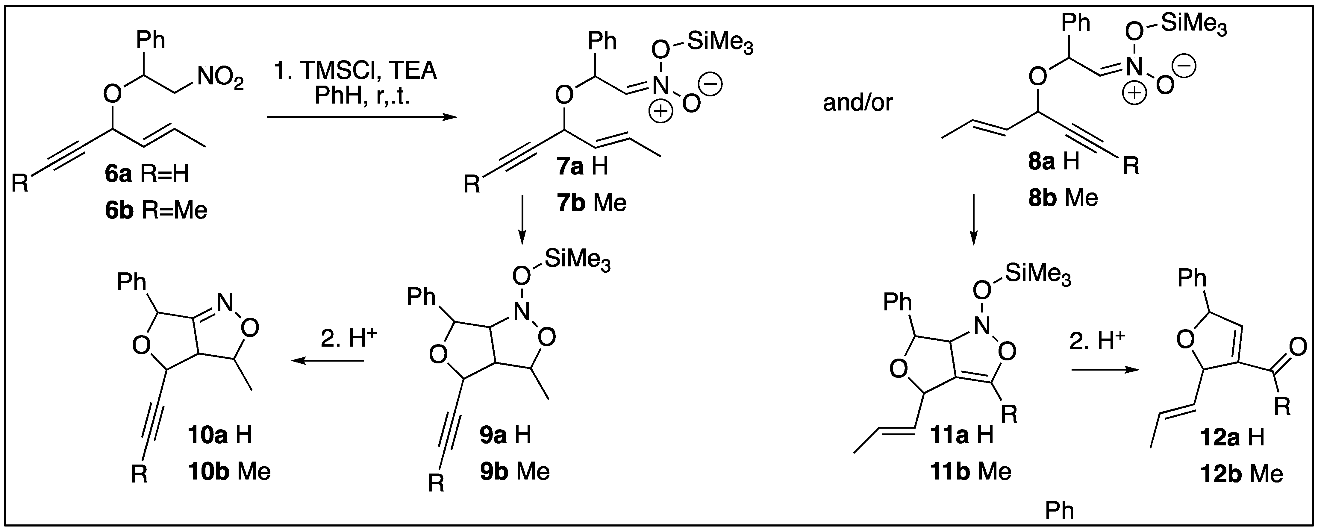 Molecules 29 05816 sch002