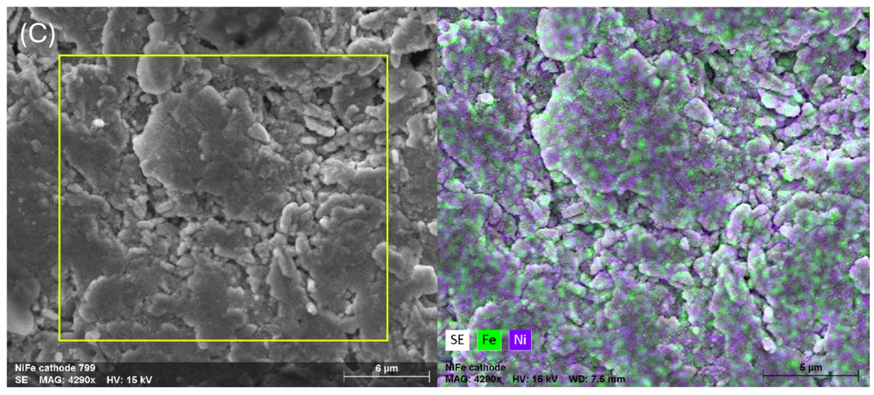 Molecules 29 05820 g004b