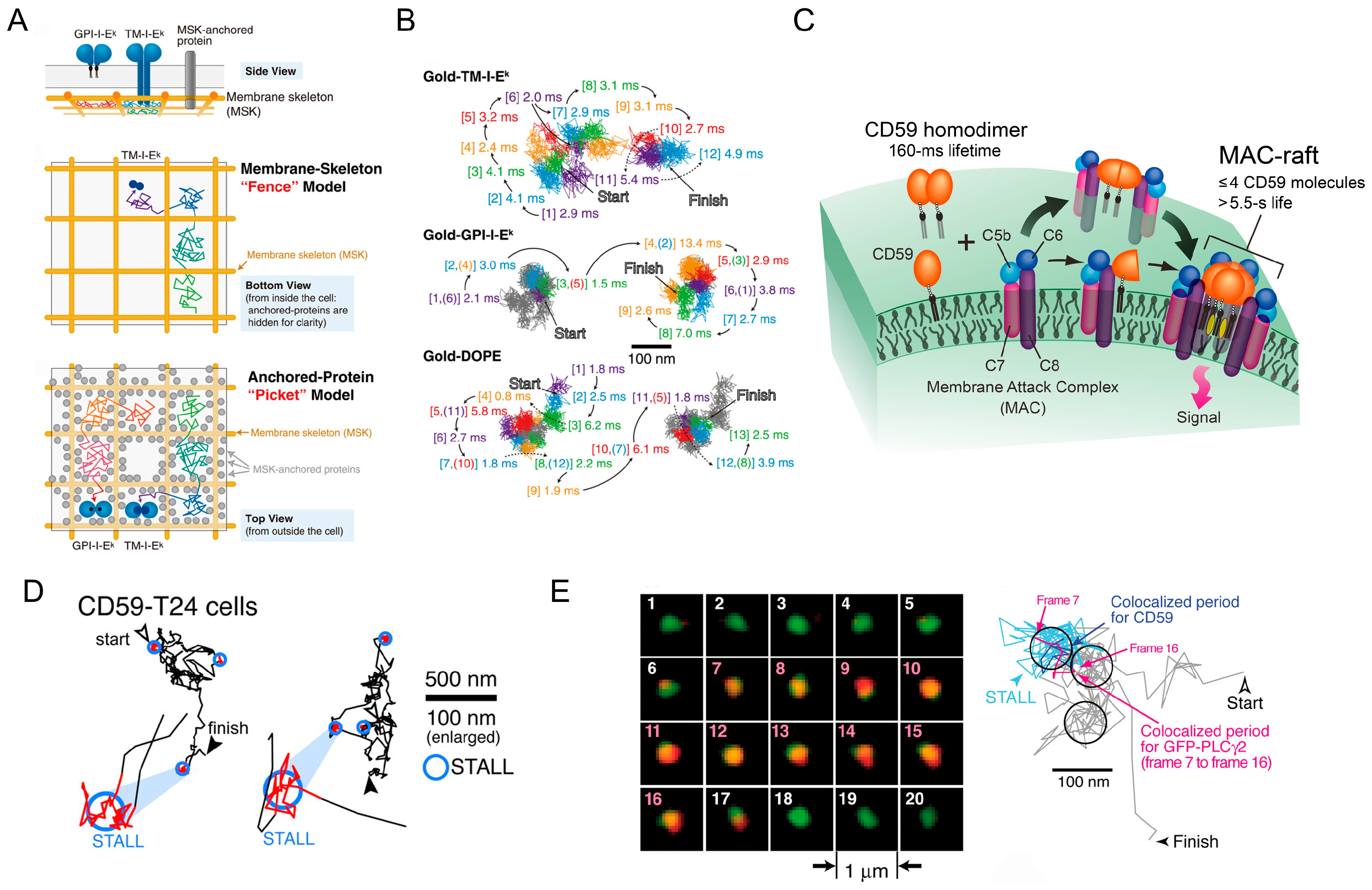 Molecules 29 05828 g003