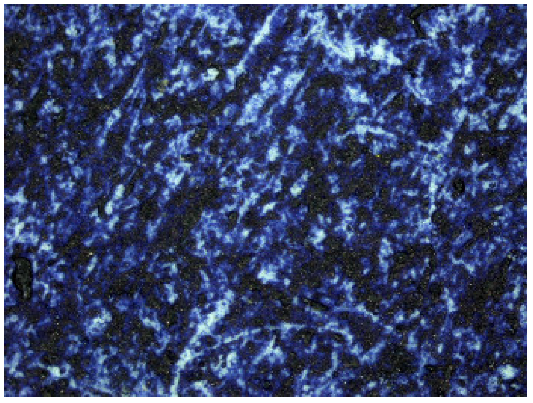 Molecules 29 05833 g019