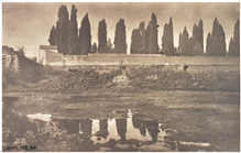 Molecules 29 05833 i009