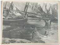 Molecules 29 05833 i010