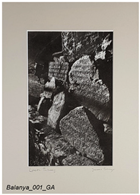 Molecules 29 05833 i014