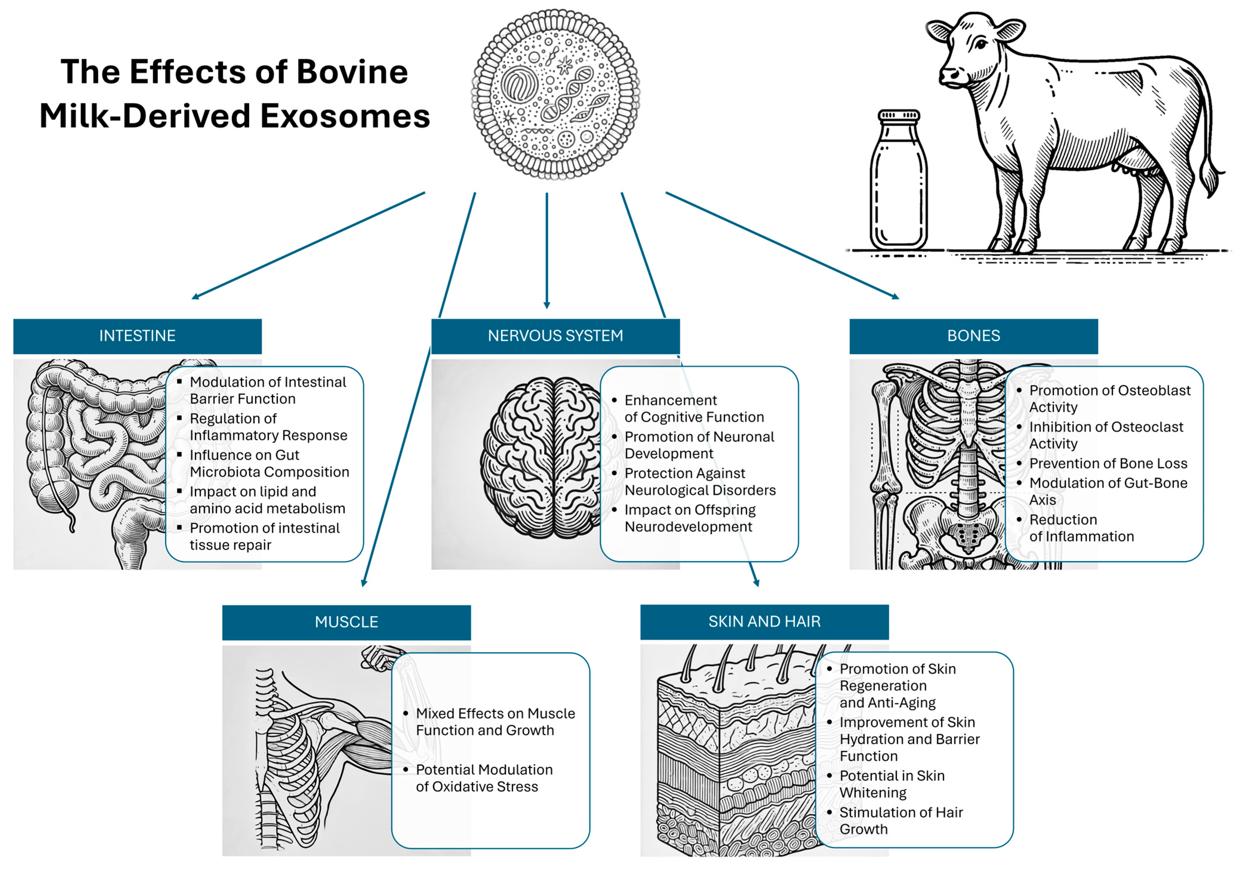 Molecules 29 05835 g001