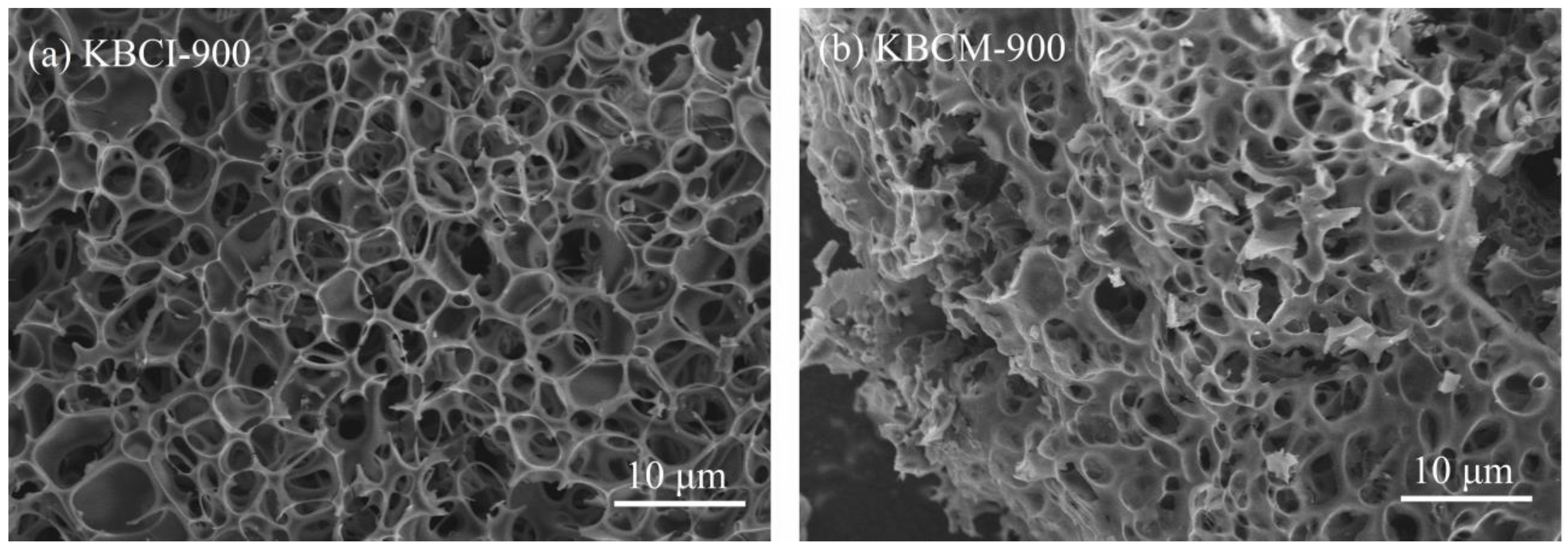 Molecules 29 05841 g001