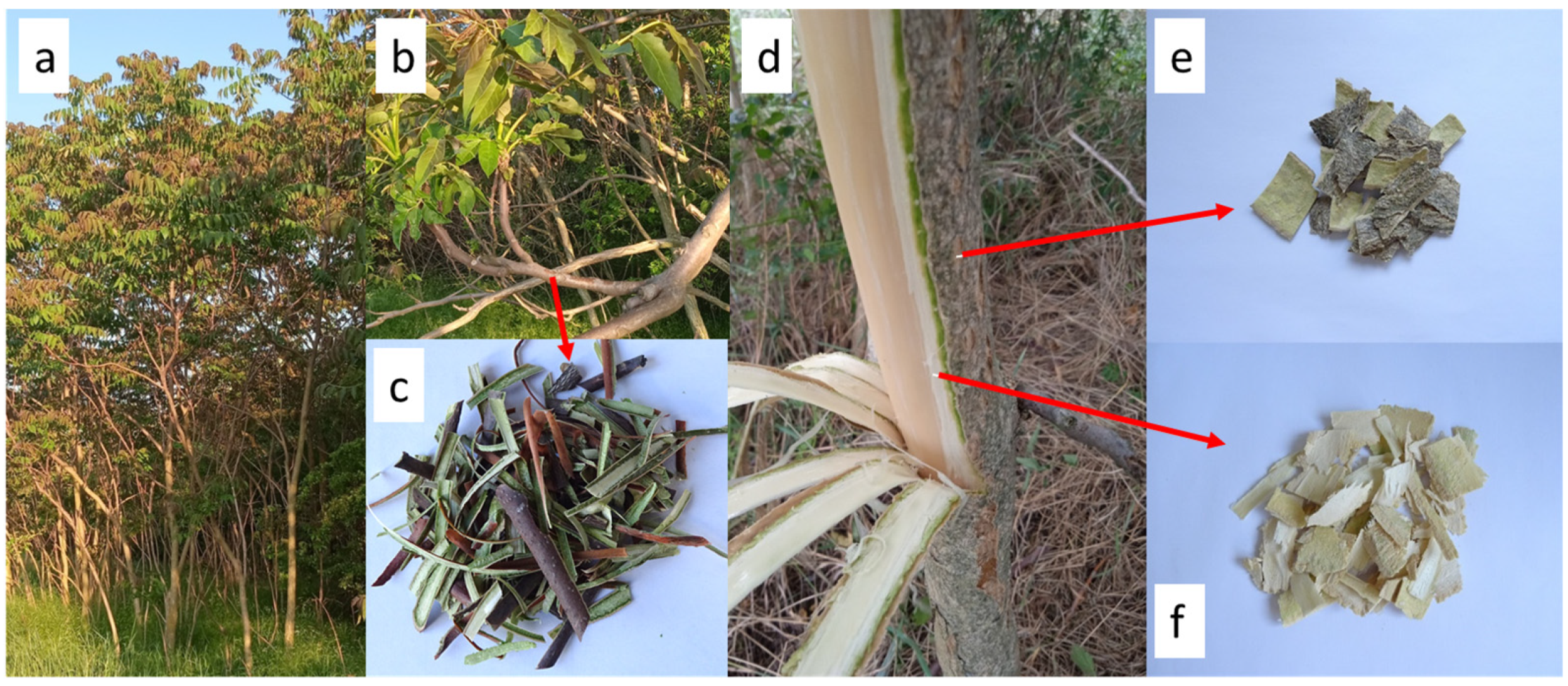 Molecules 29 05846 g001 Molecules 29 05846 g001