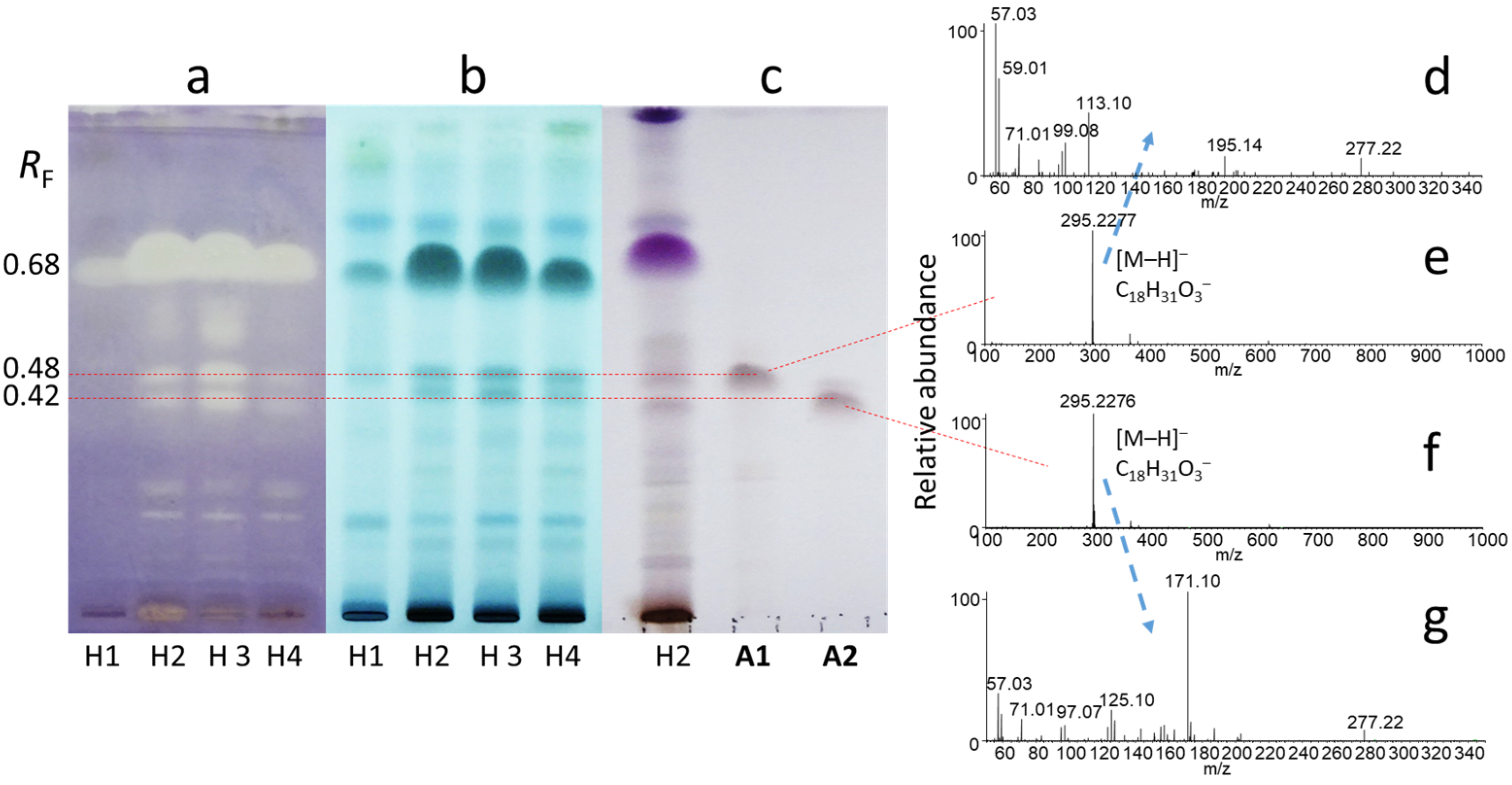 Molecules 29 05846 g002 Molecules 29 05846 g002