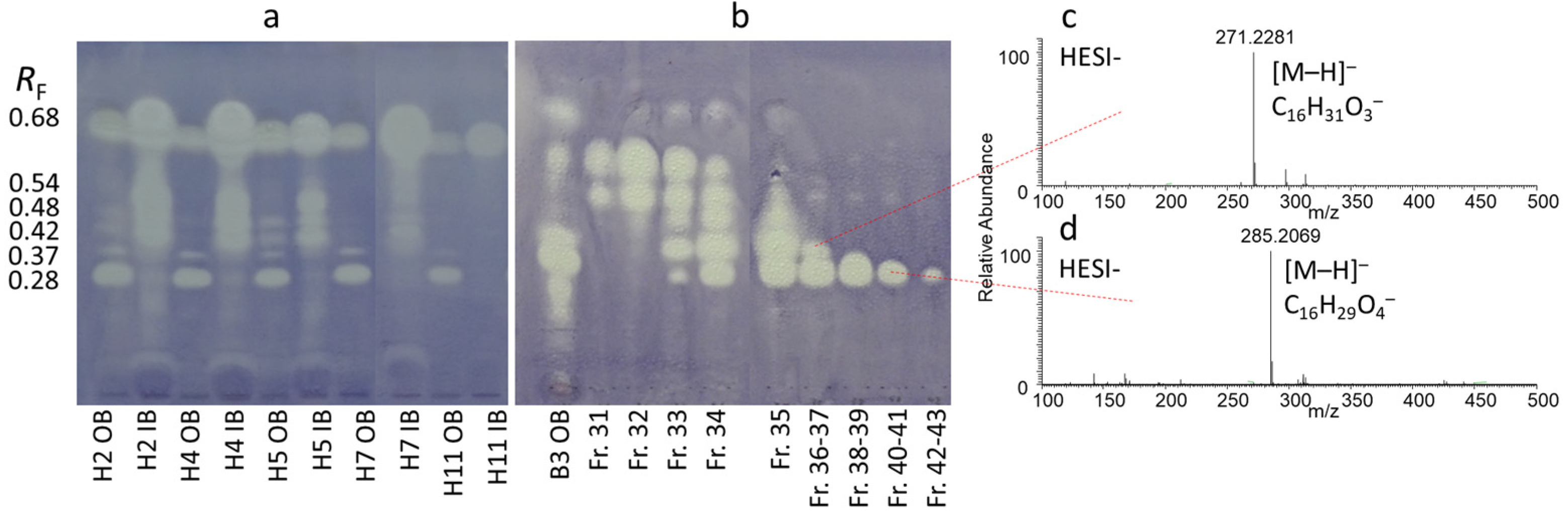 Molecules 29 05846 g003 Molecules 29 05846 g003