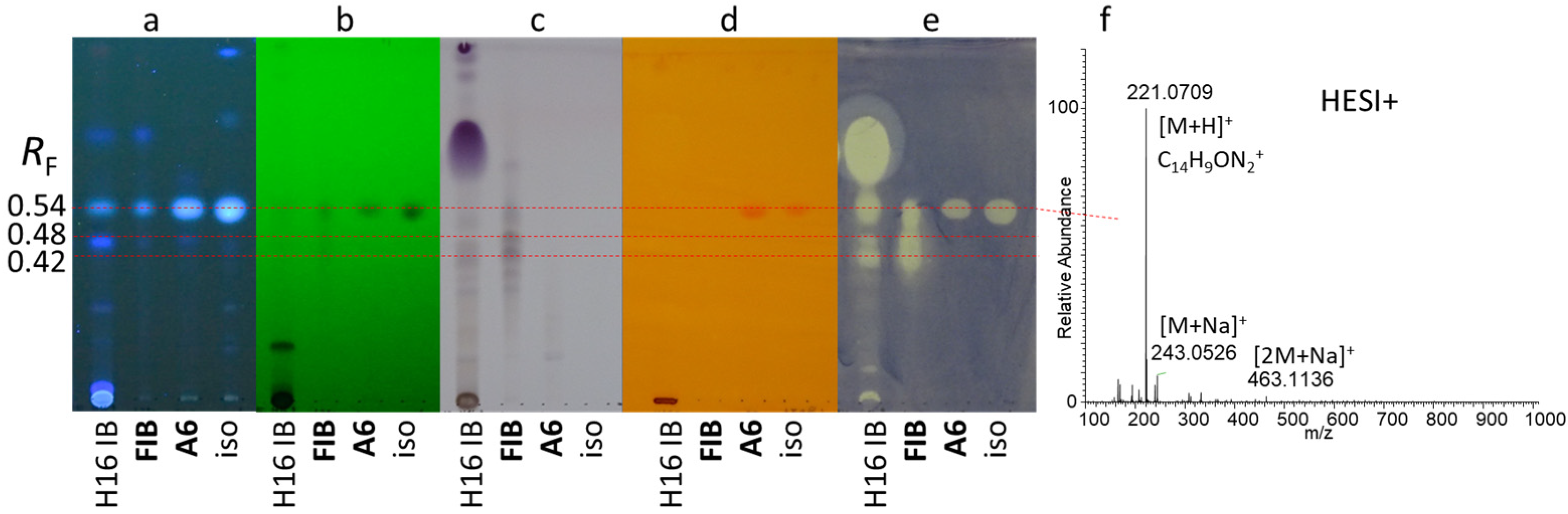 Molecules 29 05846 g004 Molecules 29 05846 g004