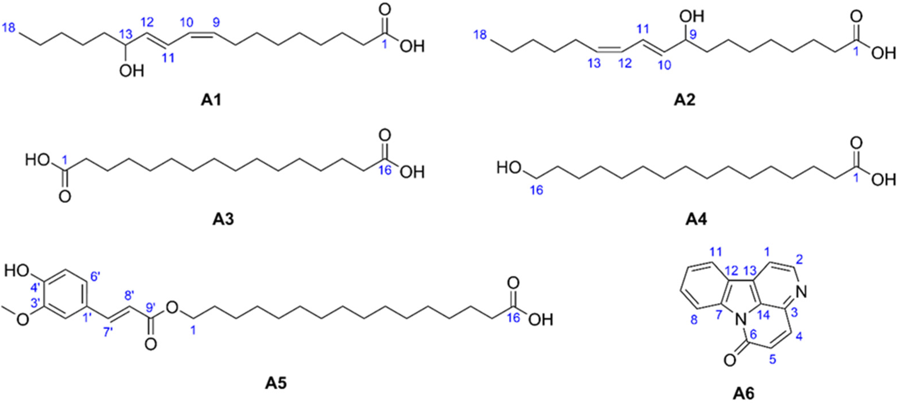 Molecules 29 05846 g005 Molecules 29 05846 g005