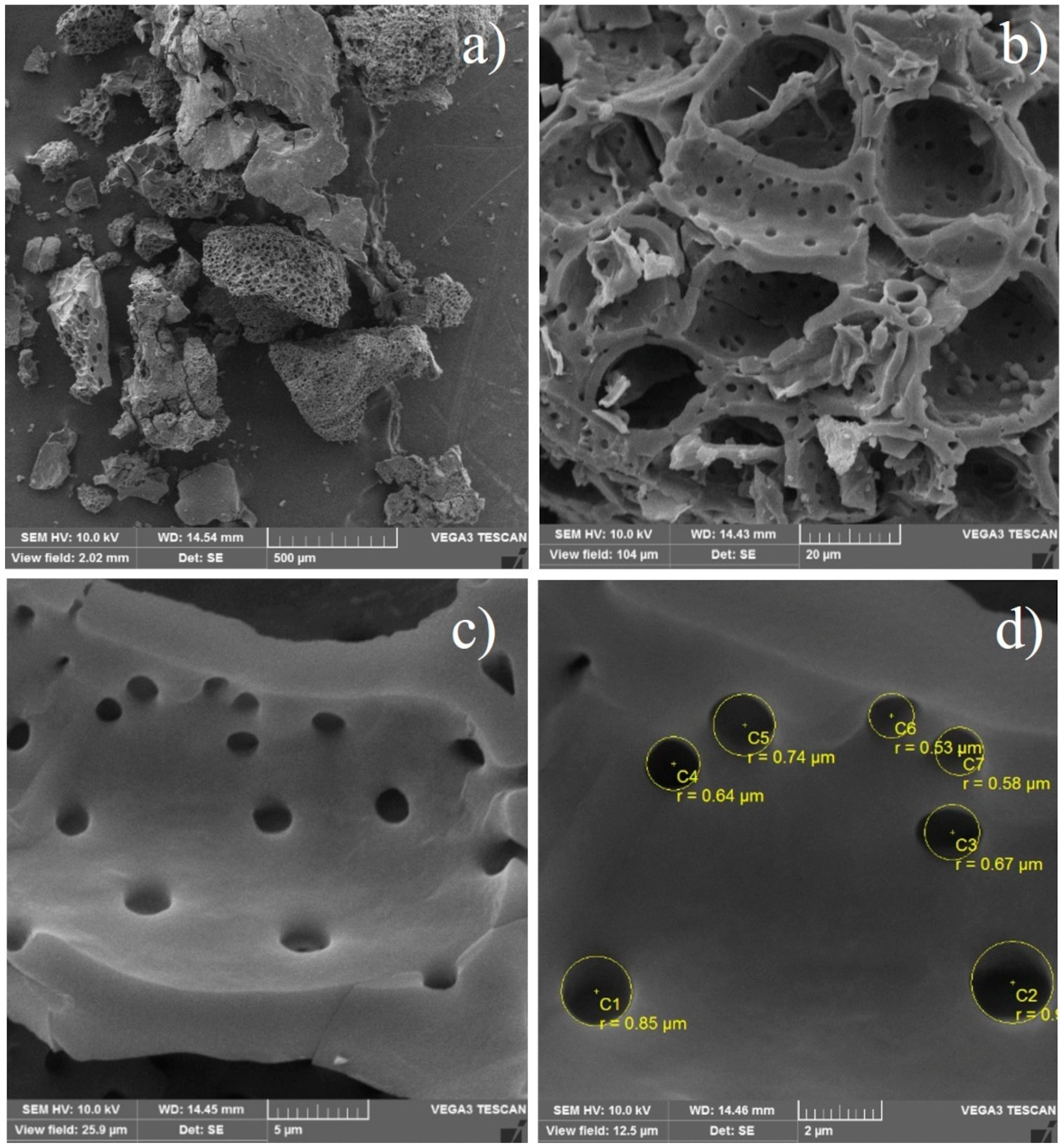 Molecules 29 05853 g002