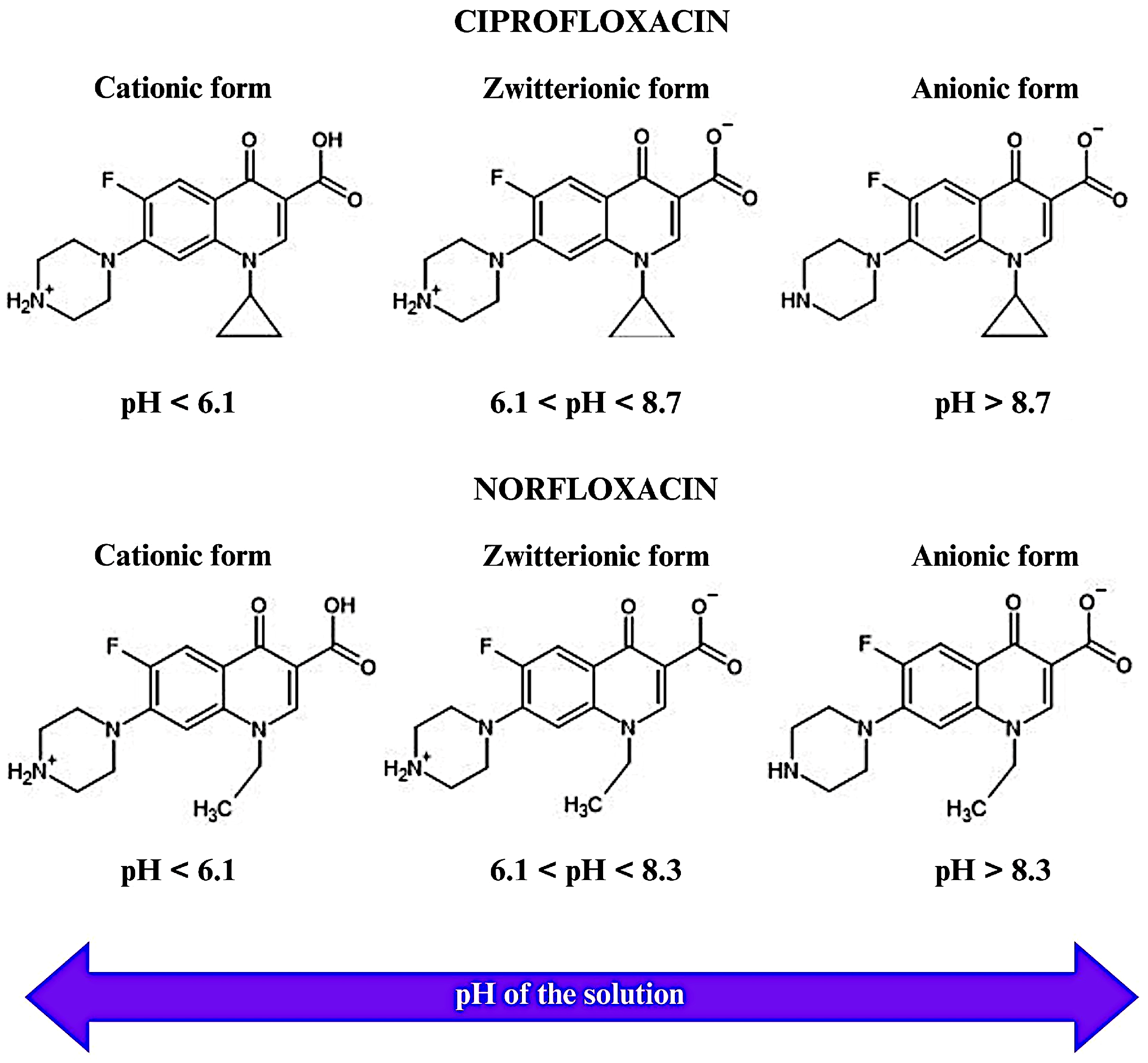 Molecules 29 05853 g004