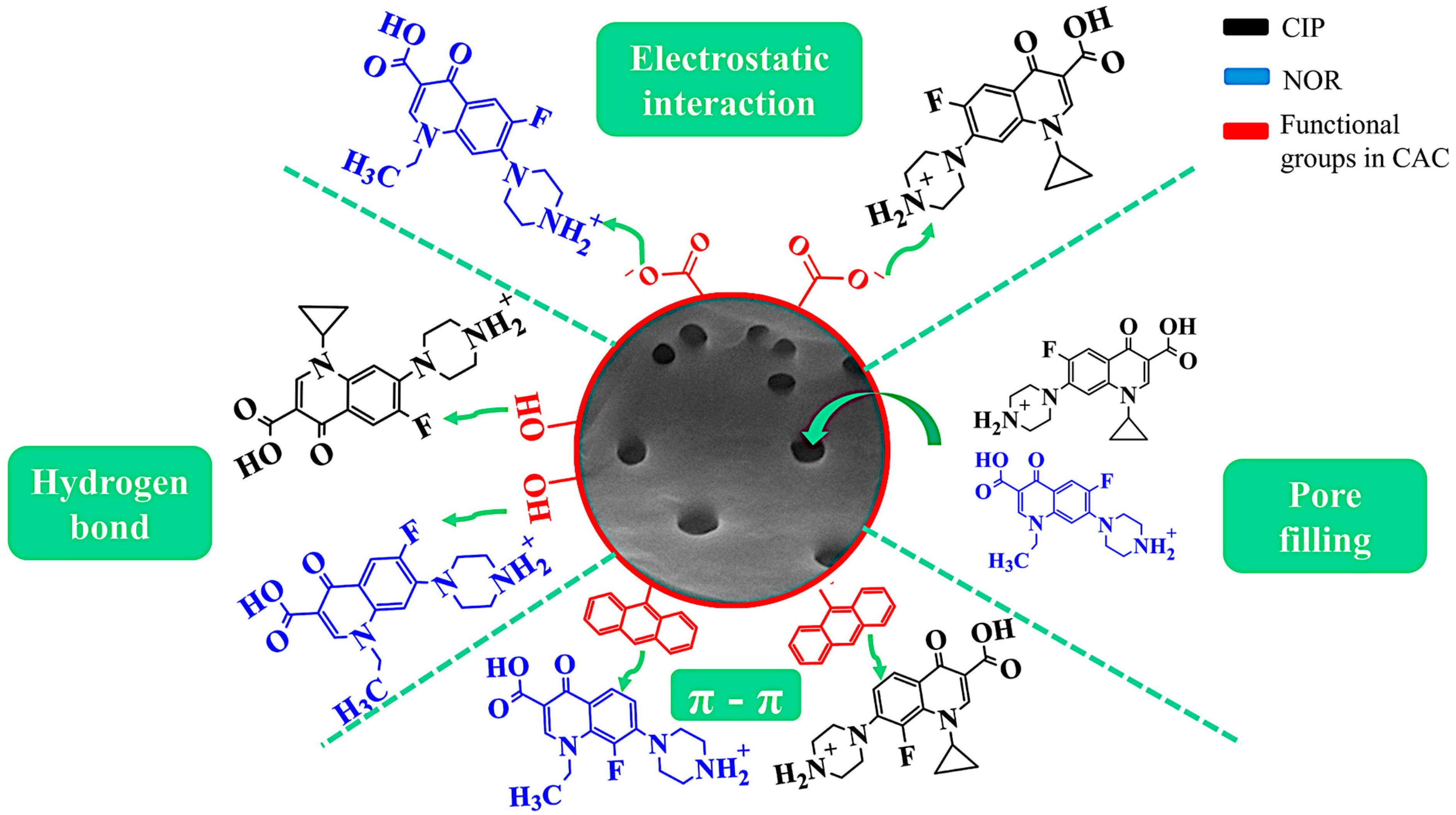 Molecules 29 05853 g007