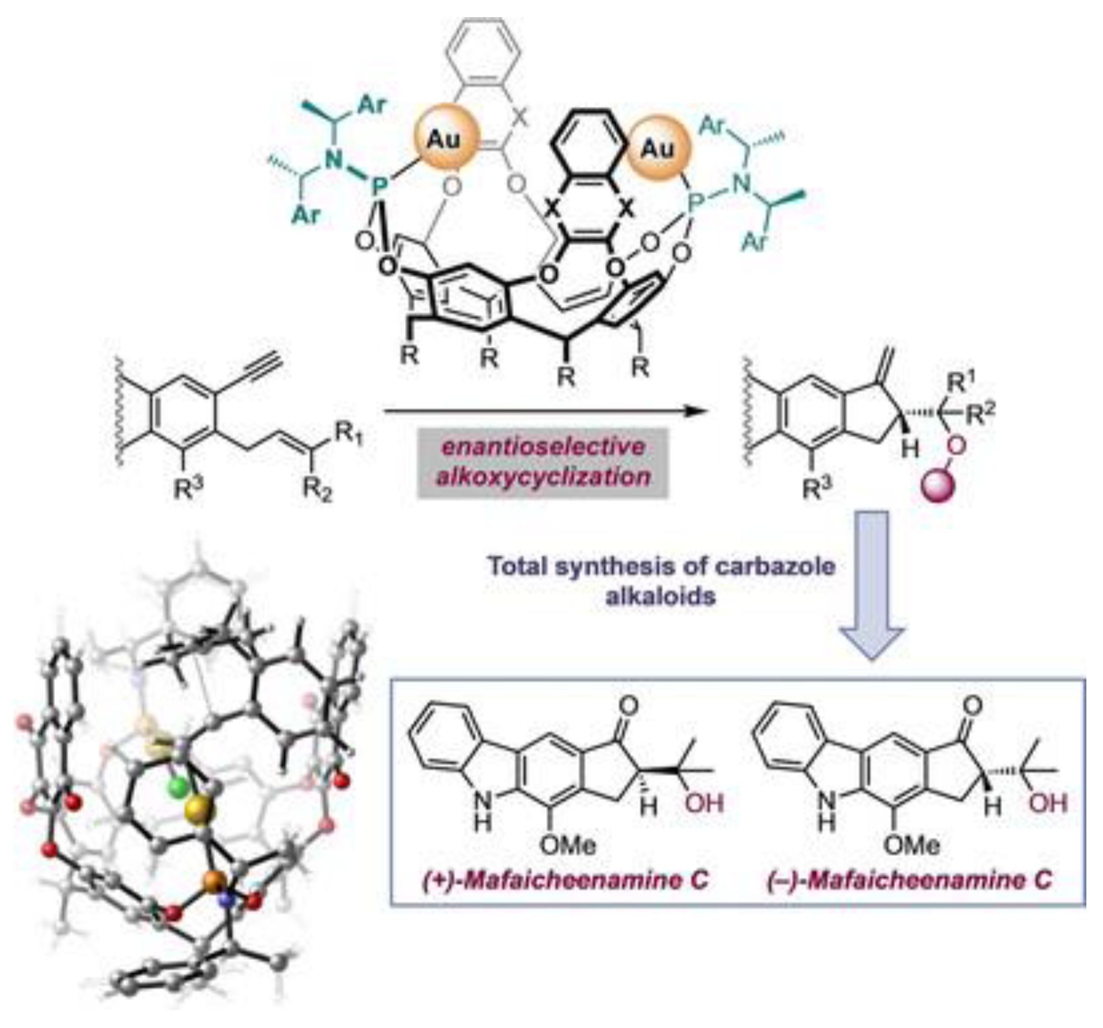 Molecules 29 05854 g001