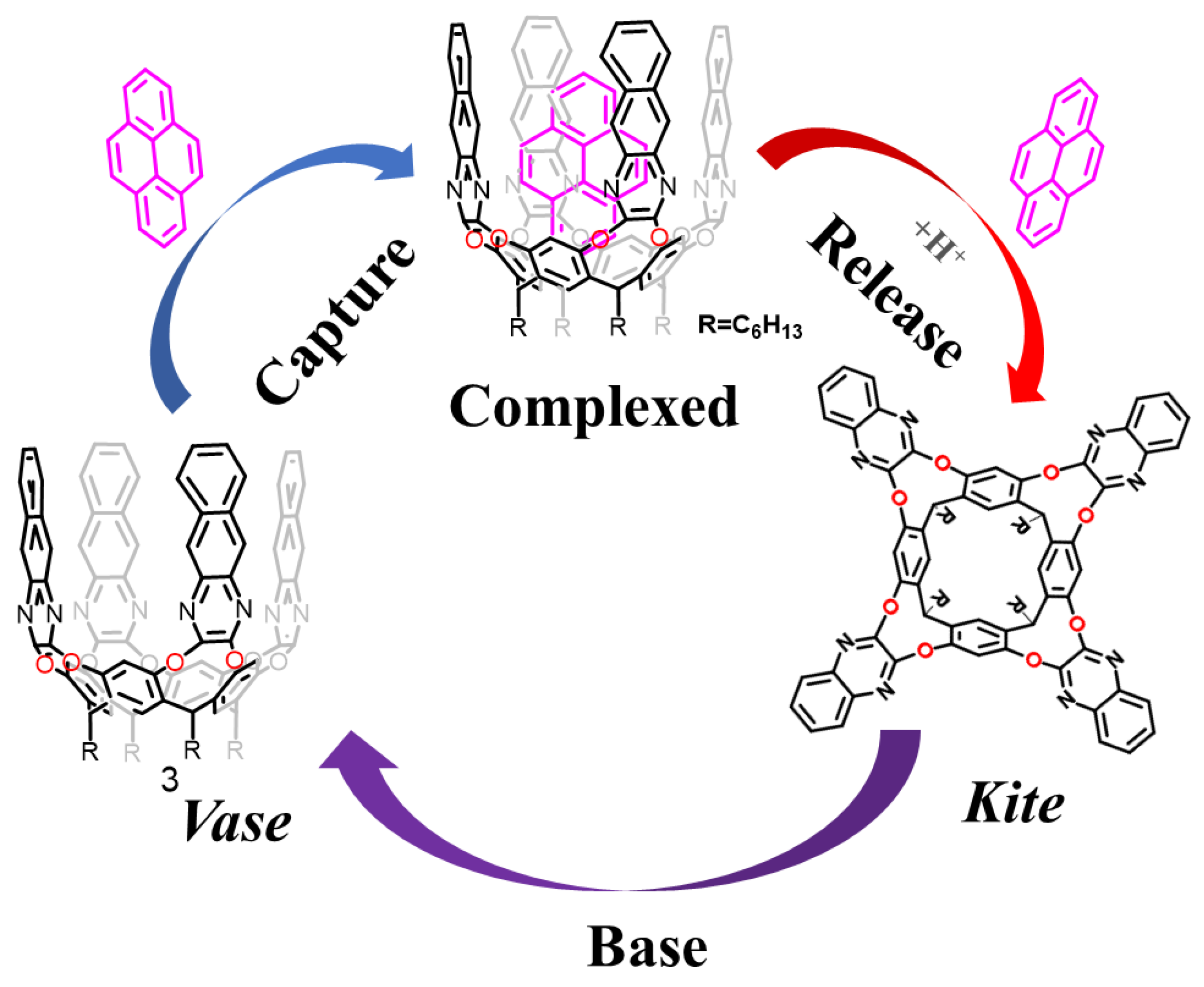 Molecules 29 05854 g004