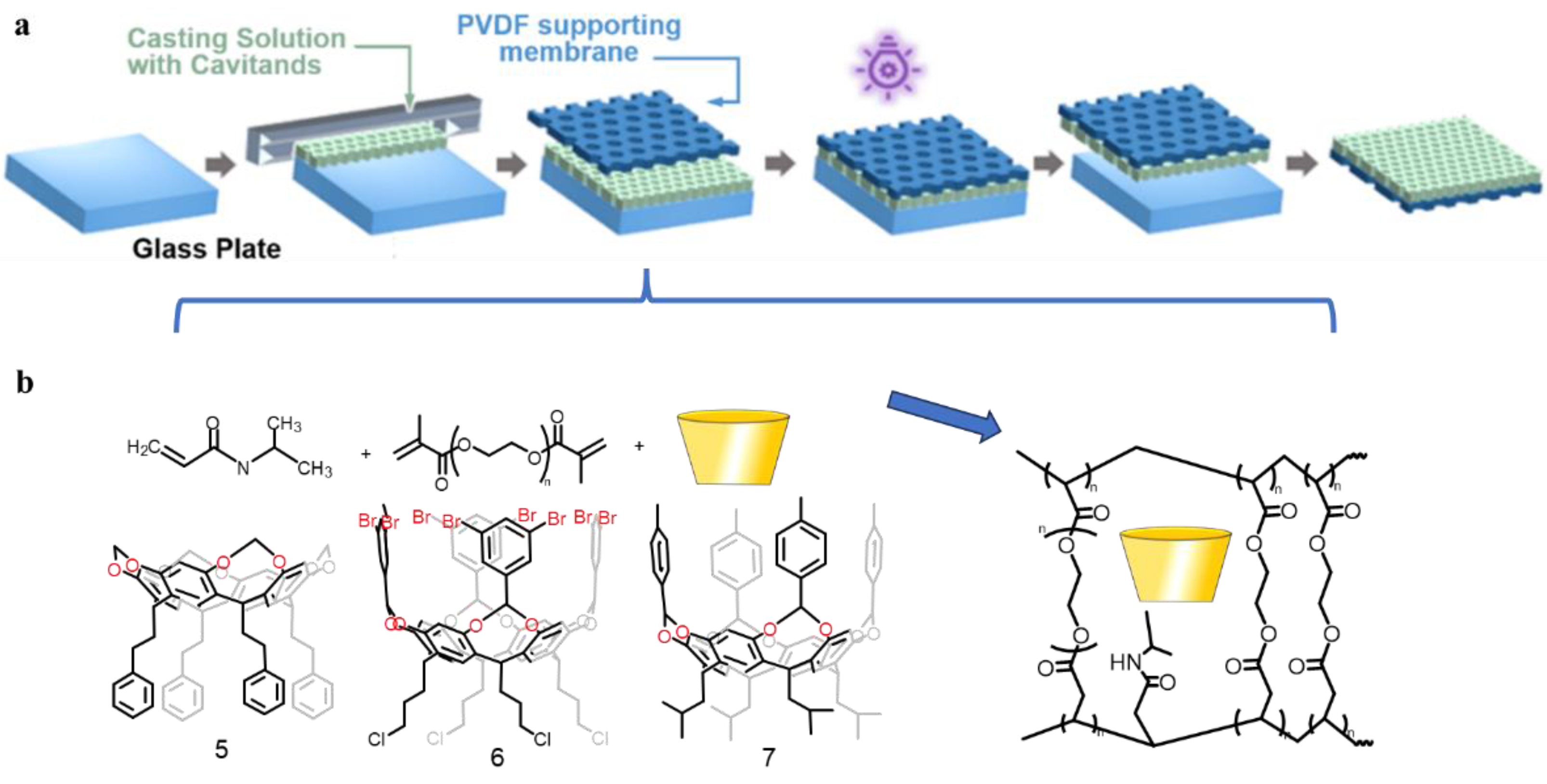 Molecules 29 05854 g006