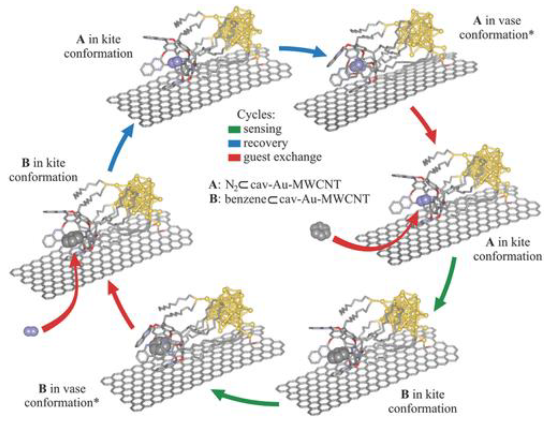 Molecules 29 05854 g009