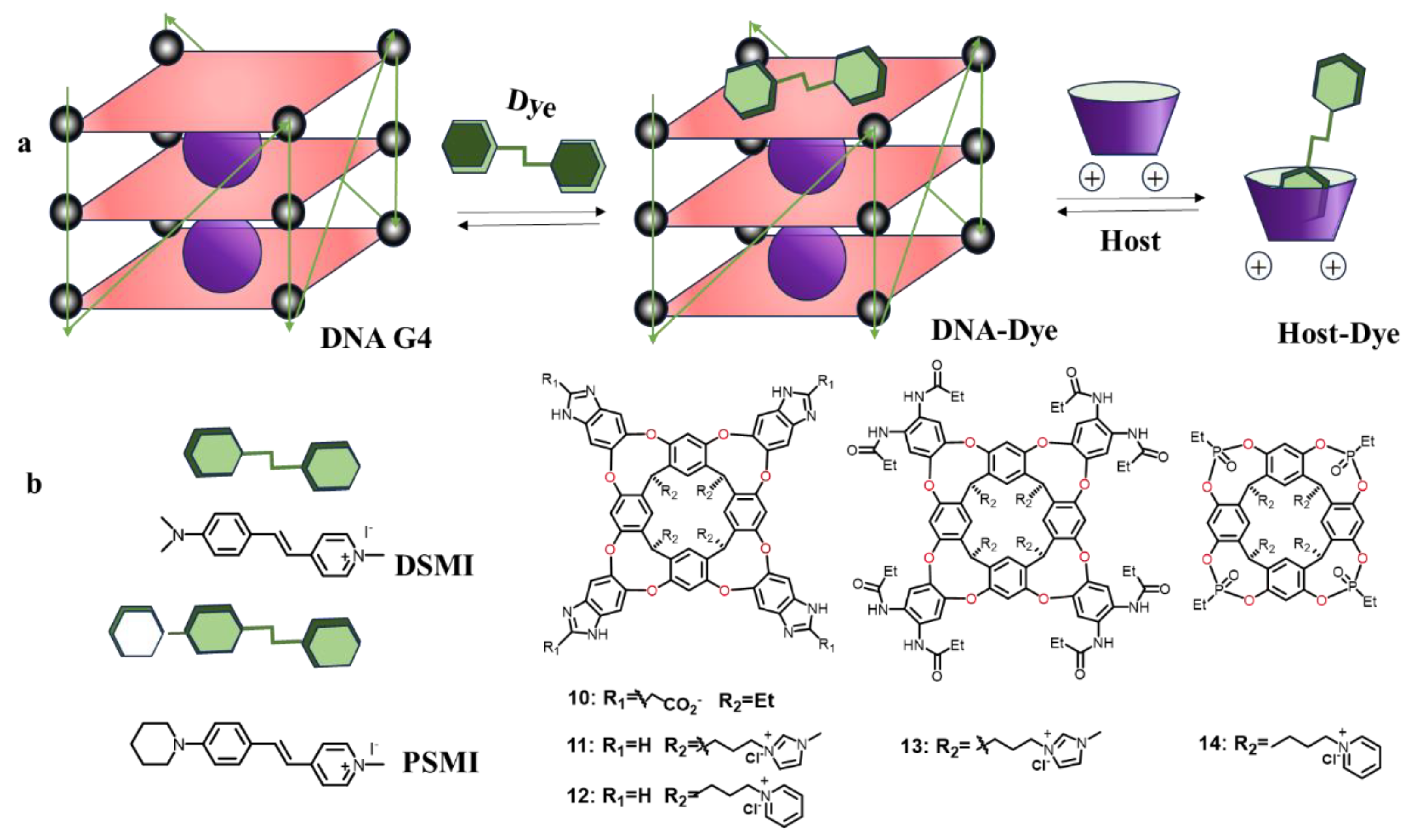 Molecules 29 05854 g010