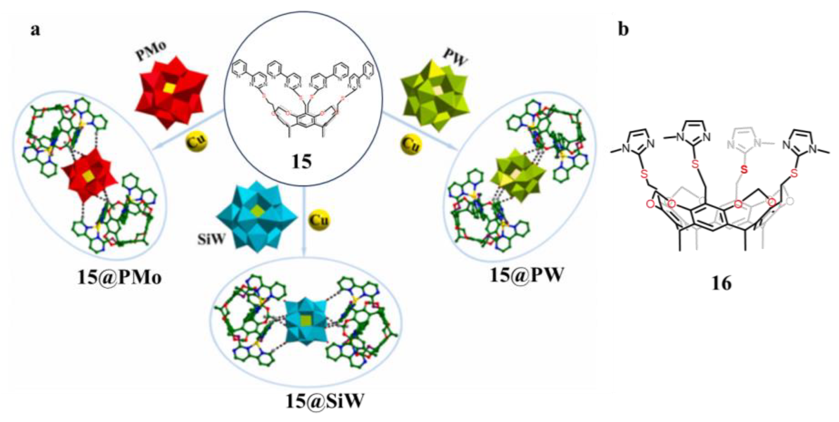 Molecules 29 05854 g011