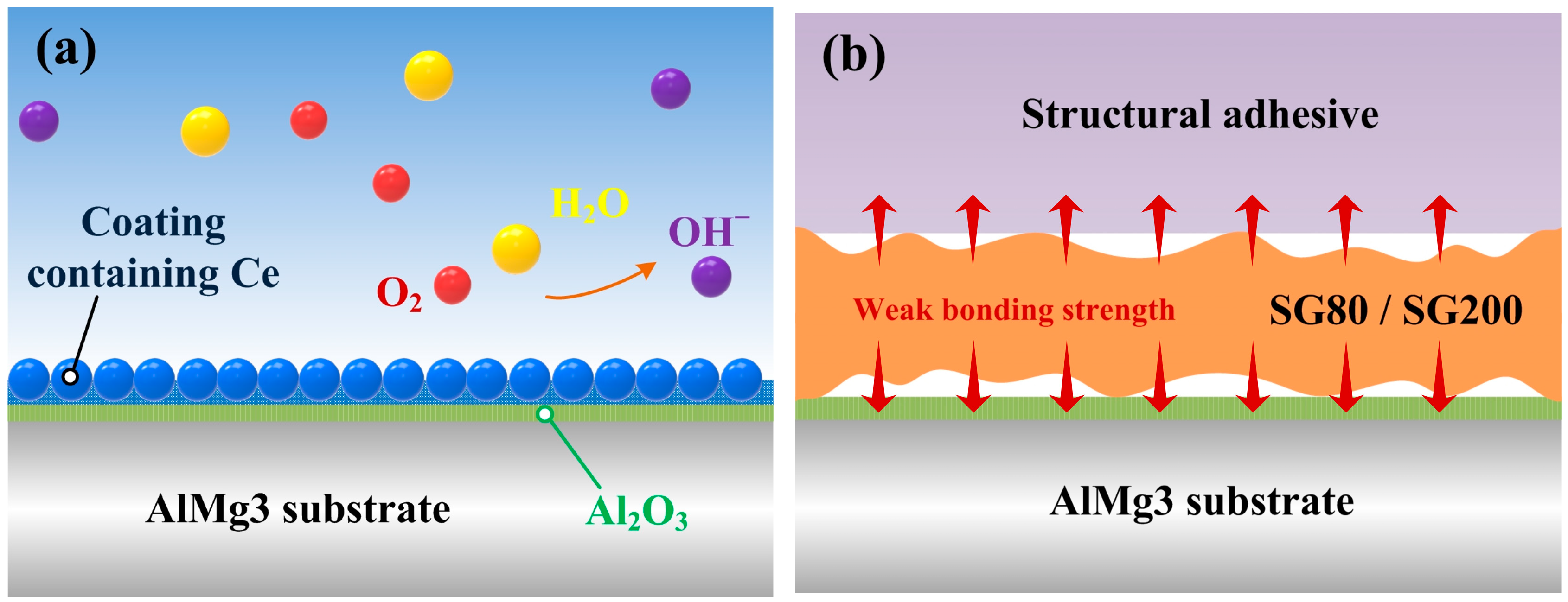 Molecules 29 05856 g011