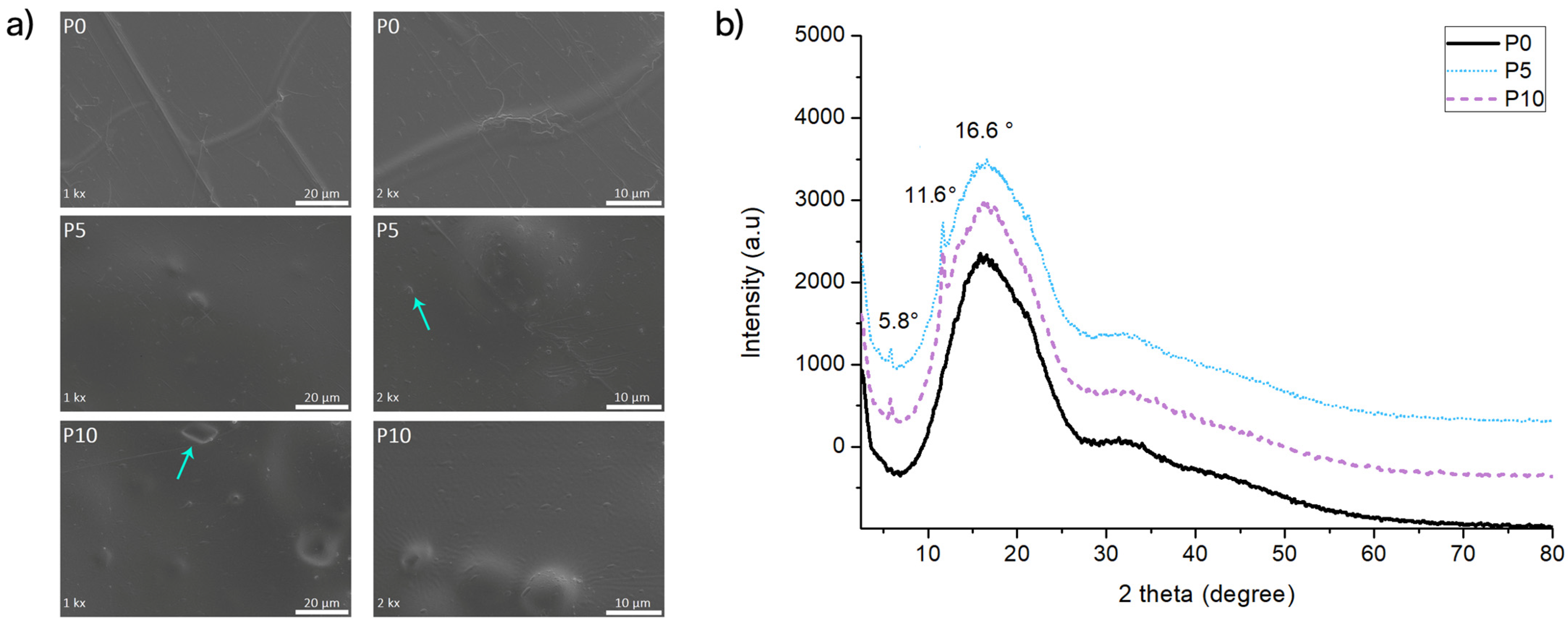 Molecules 29 05859 g001