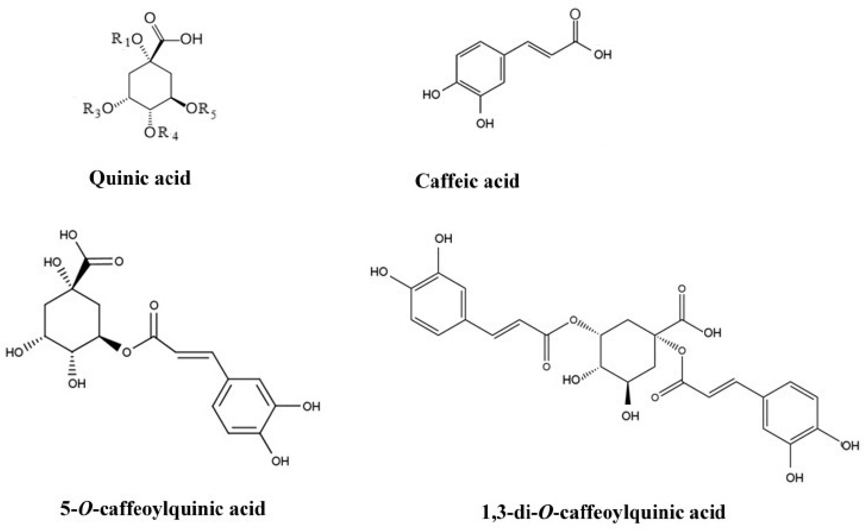 Molecules 29 05861 g001