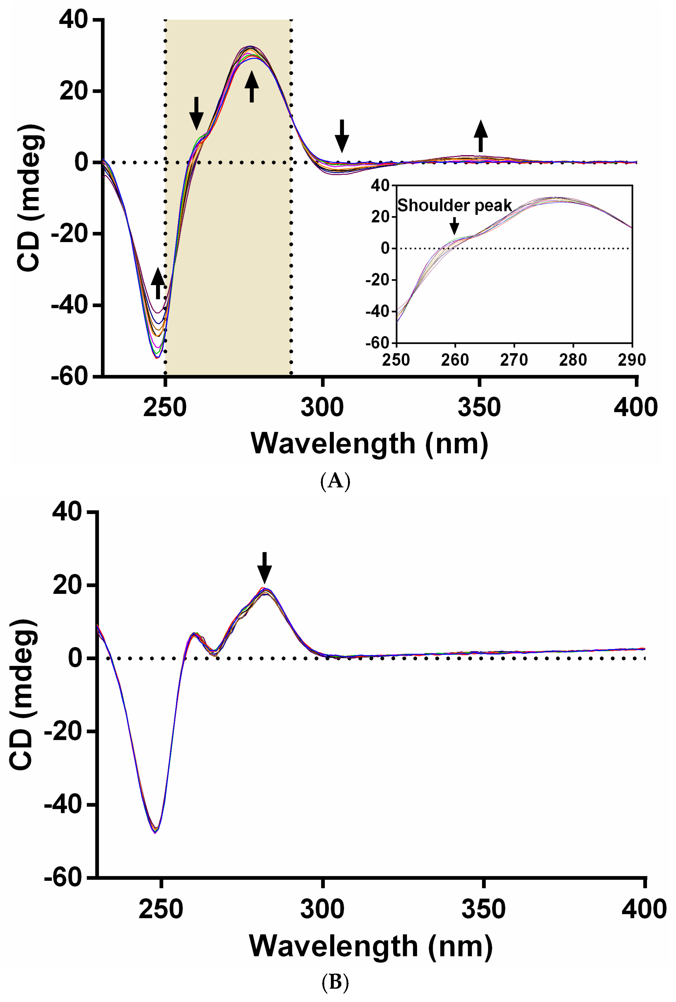 Molecules 29 05862 g009