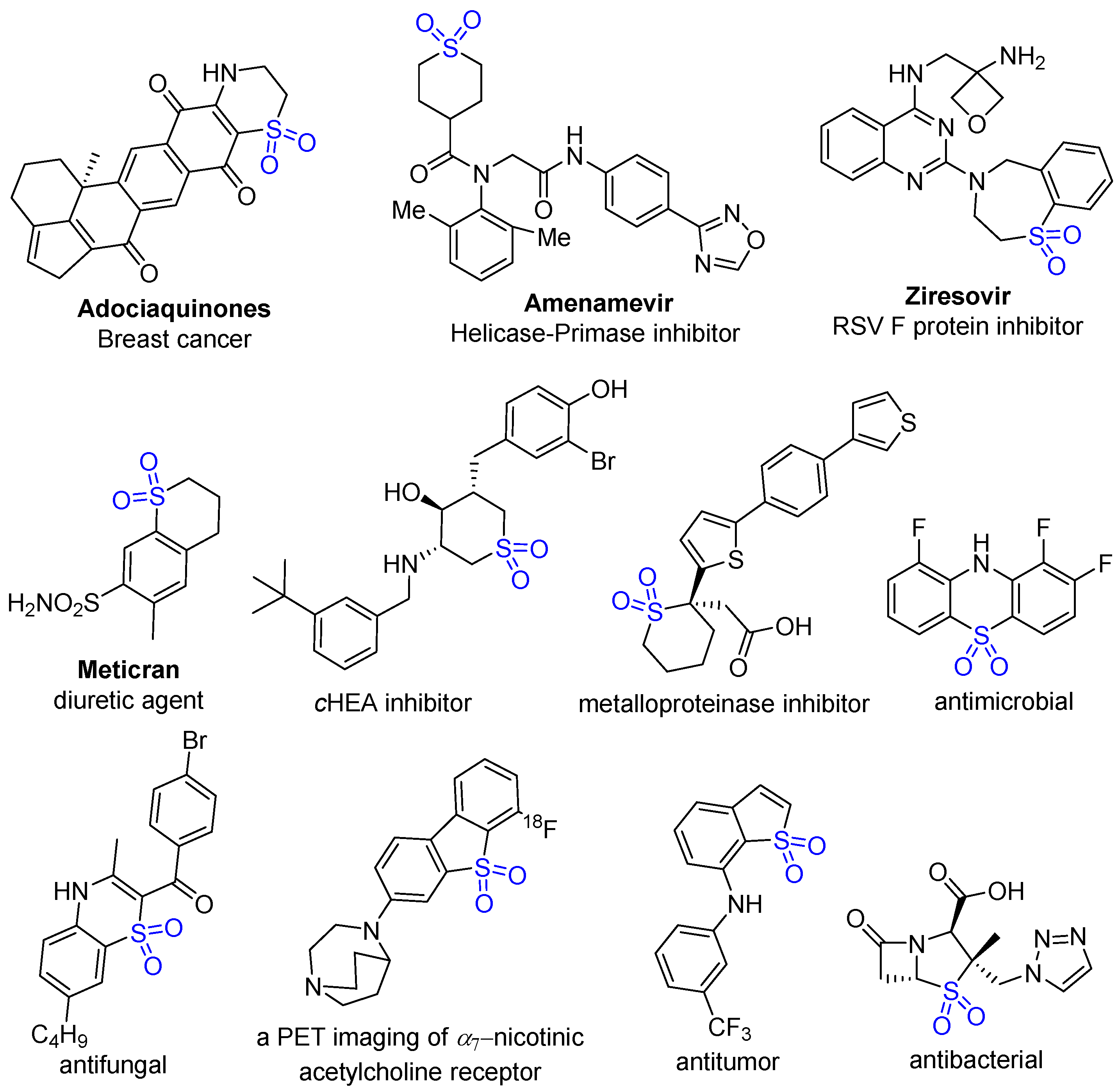 Molecules 29 05868 g001