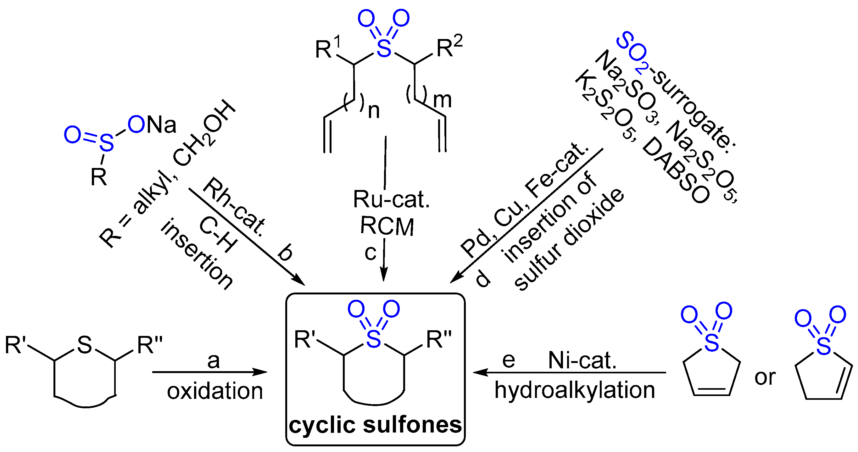 Molecules 29 05868 sch001